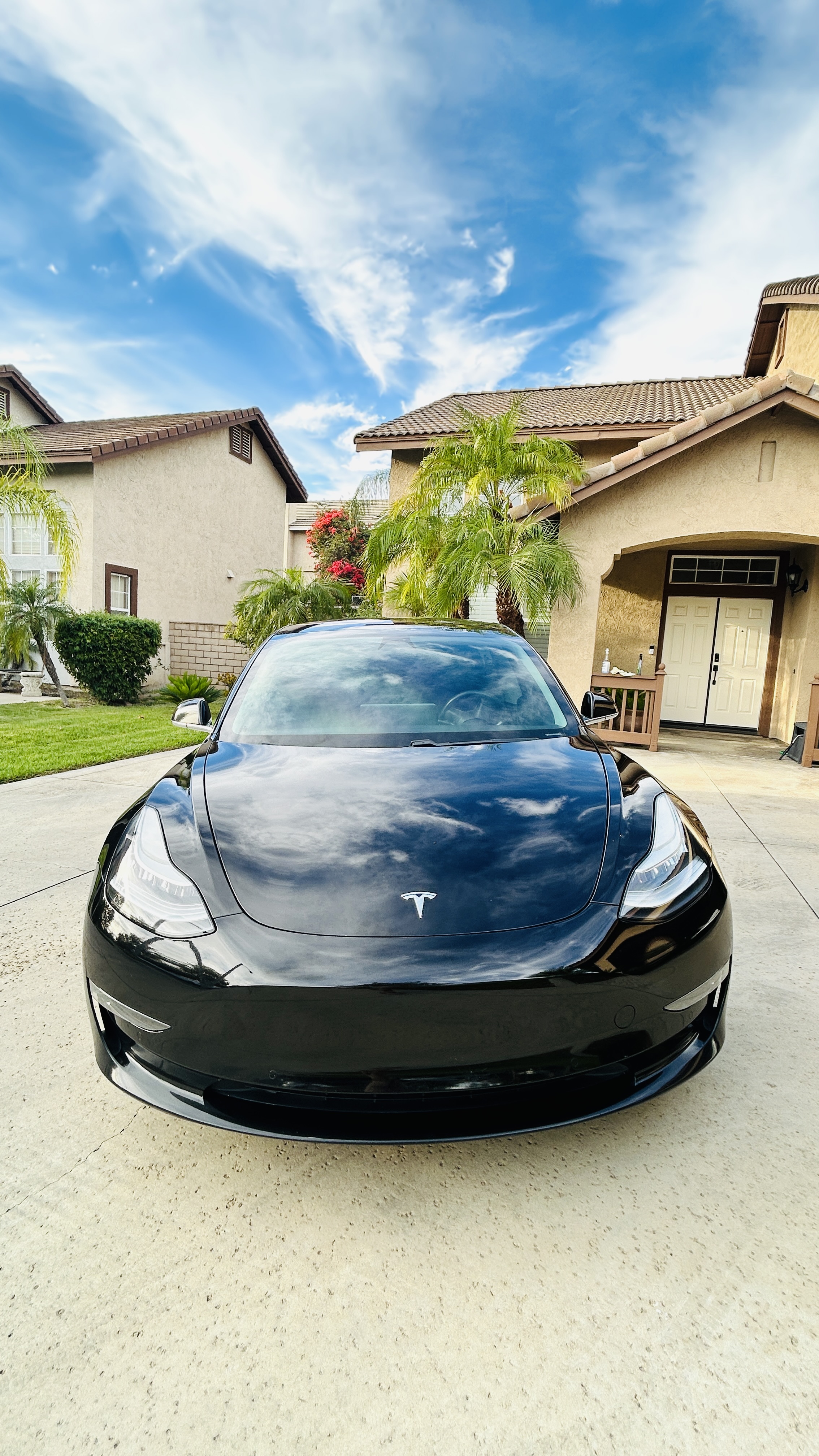 Used 2019 Tesla Model 3 RWD image 11