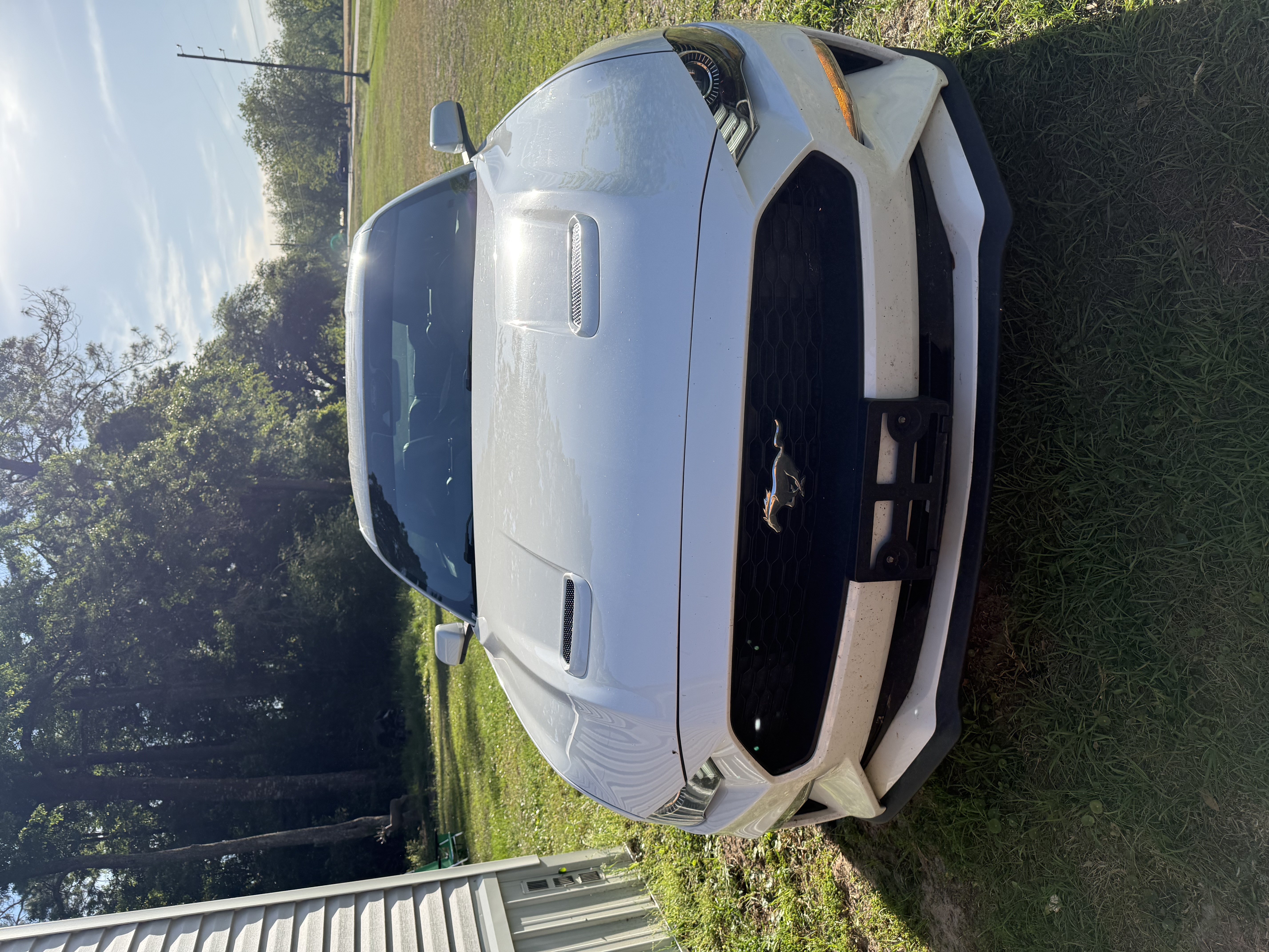 Used 2023 Ford Mustang Premium RWD image 5