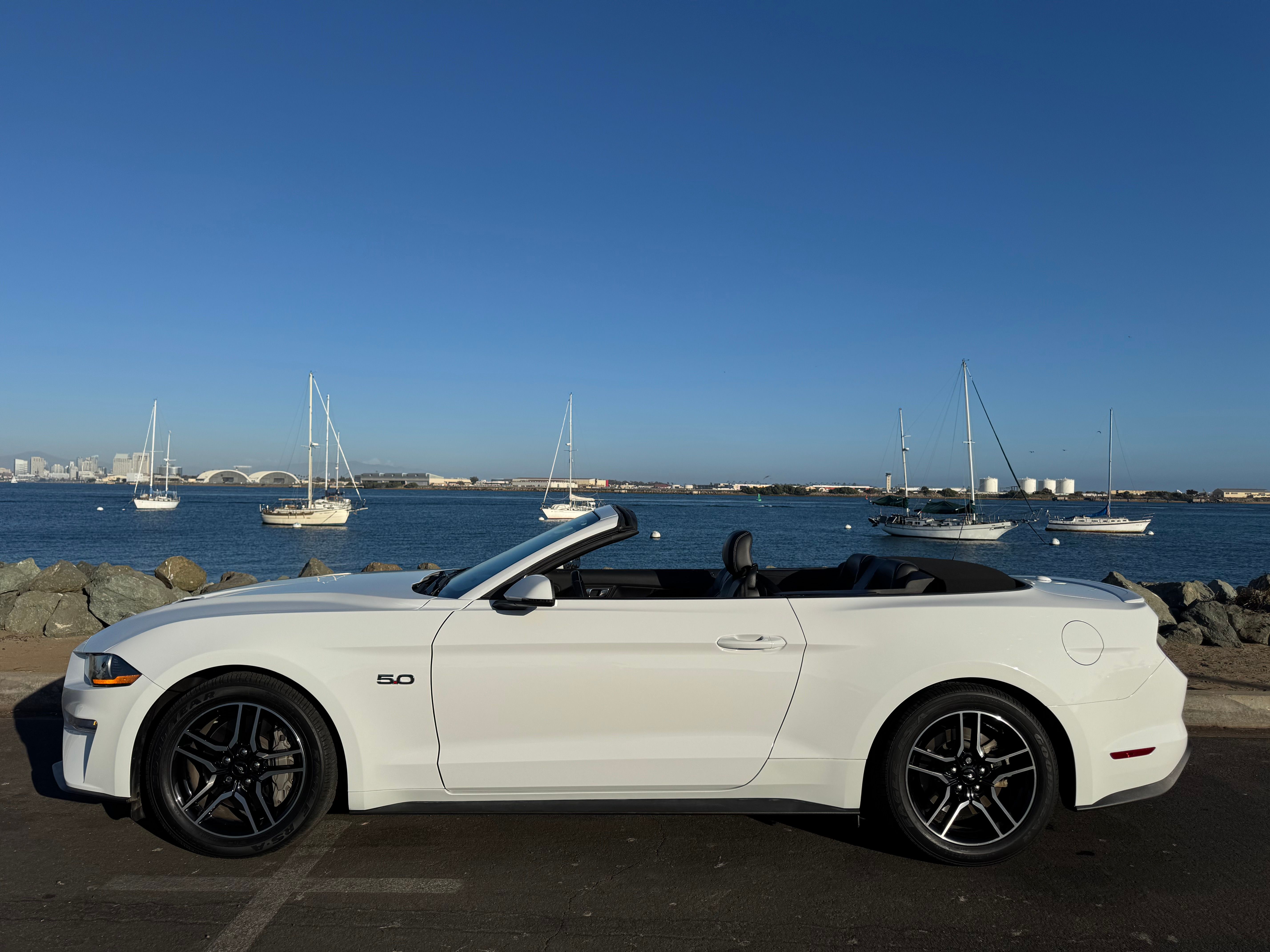 Used 2019 Ford Mustang GT Premium RWD image 1