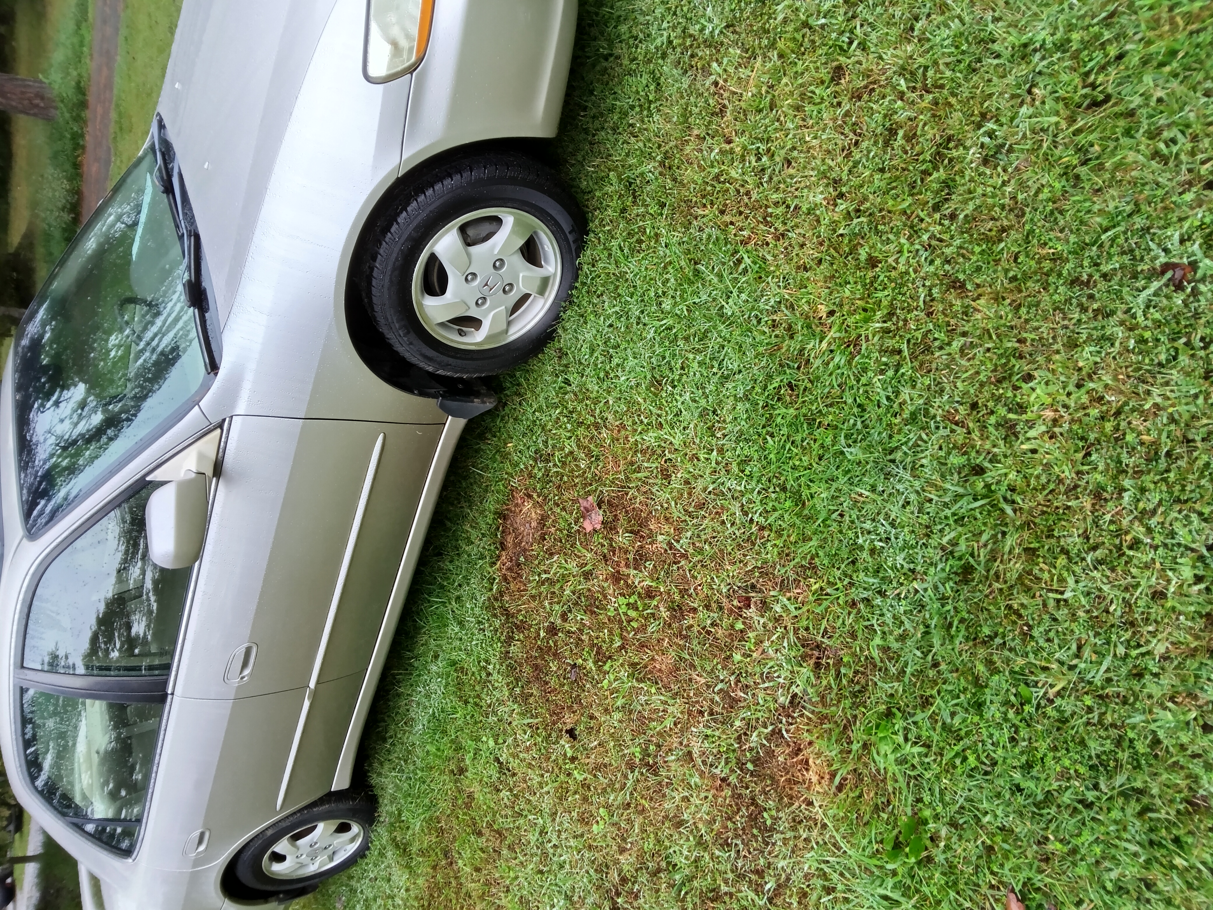 Used 1999 Honda Accord EX image 7