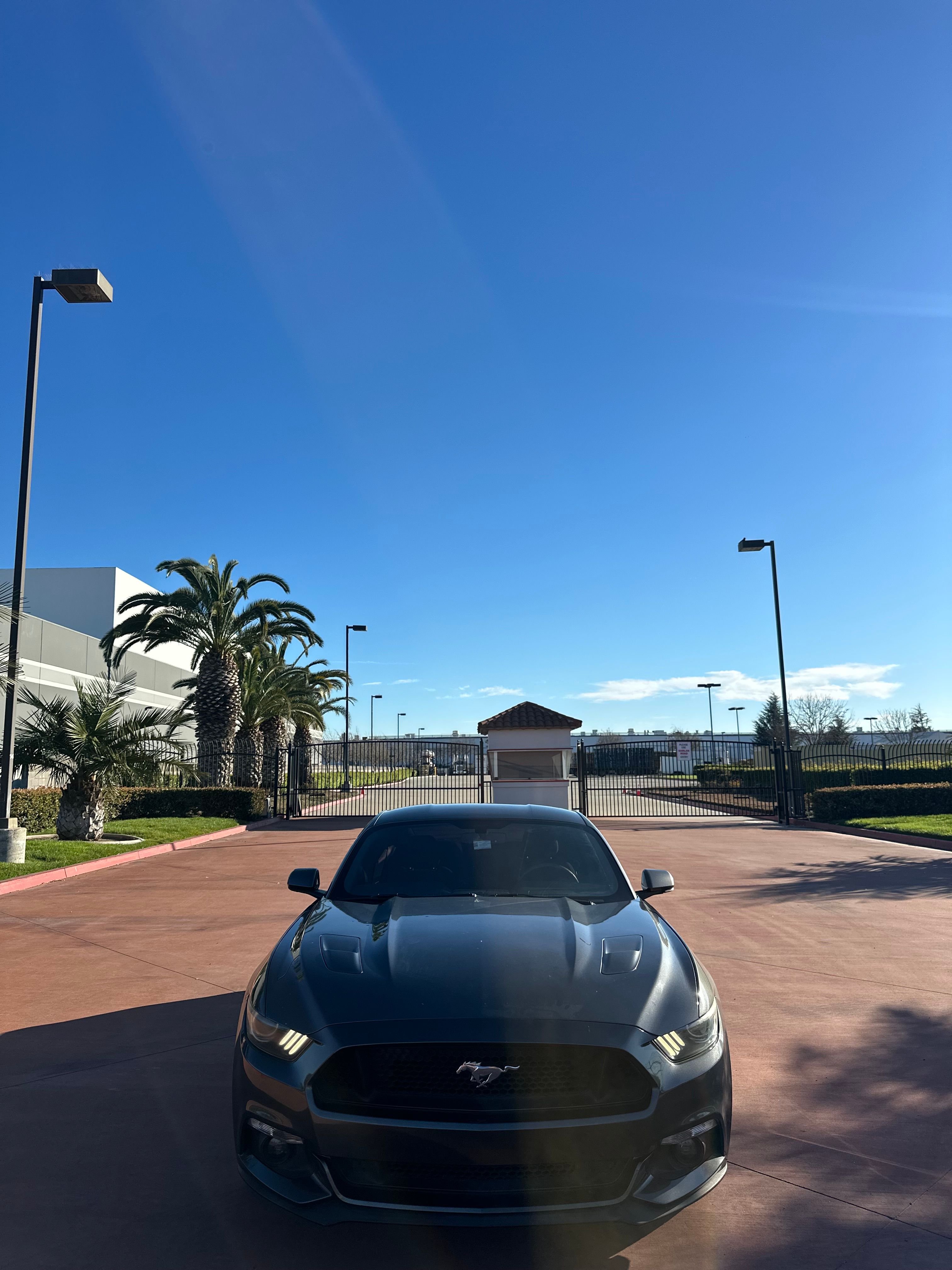 Used 2015 Ford Mustang GT RWD image 2