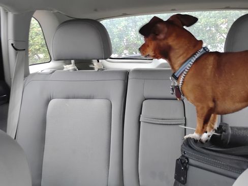 Used 2008 Saturn Vue XE w/ Preferred Package image 5