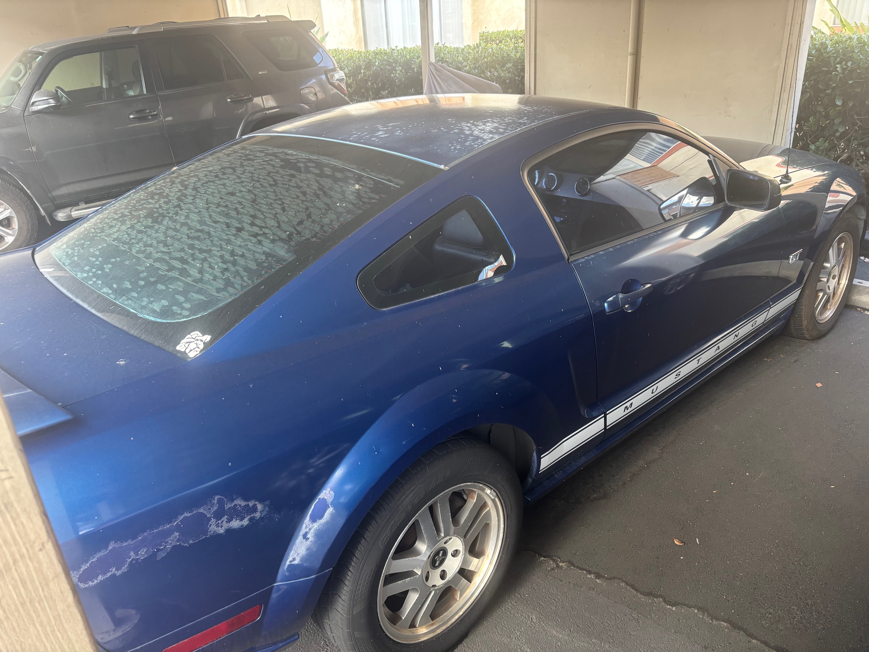 Used 2006 Ford Mustang GT RWD image 1