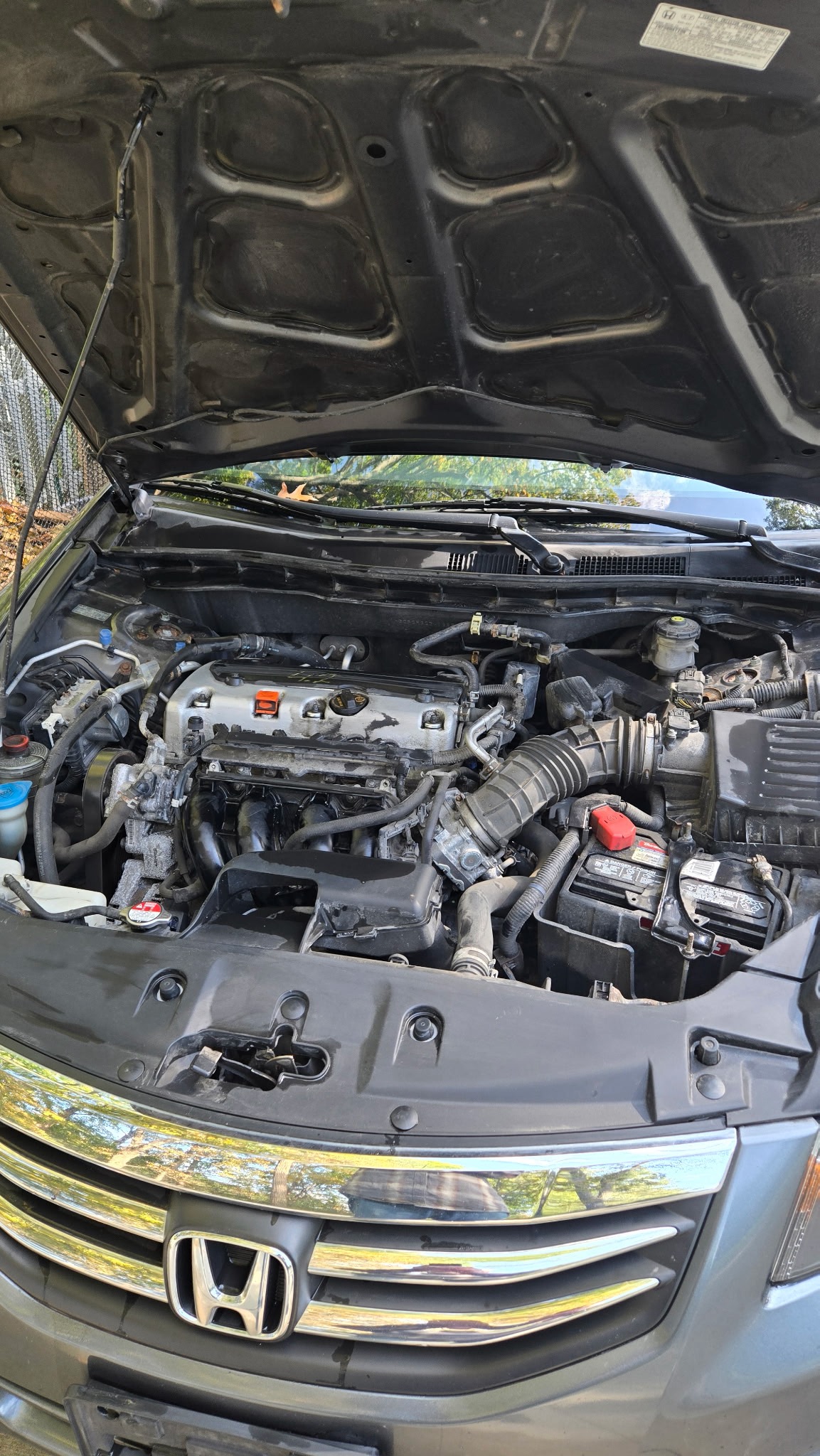 Used 2011 Honda Accord LX image 9