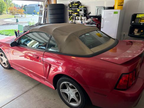 Used 2000 Ford Mustang GT image 9