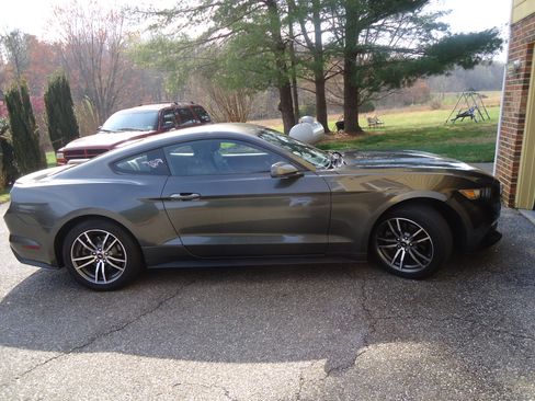Used 2017 Ford Mustang Premium image 13