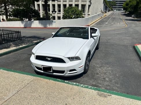 Used 2014 Ford Mustang Premium w/ Equipment Group 201A image 6
