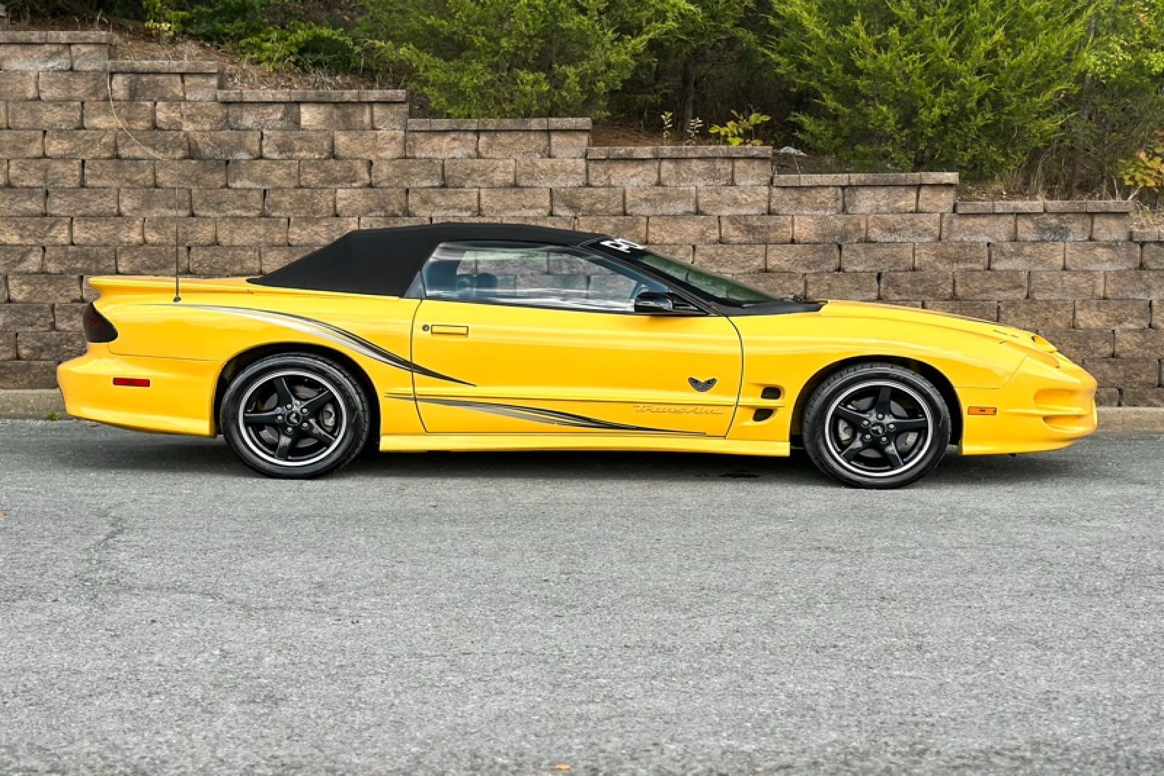Used 2002 Pontiac Firebird Trans Am RWD image 9