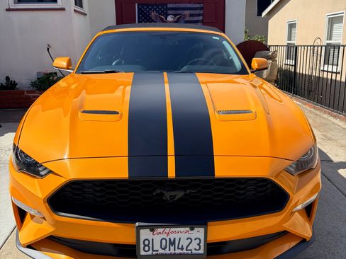 Used 2019 Ford Mustang Premium w/ Equipment Group 201A image 6