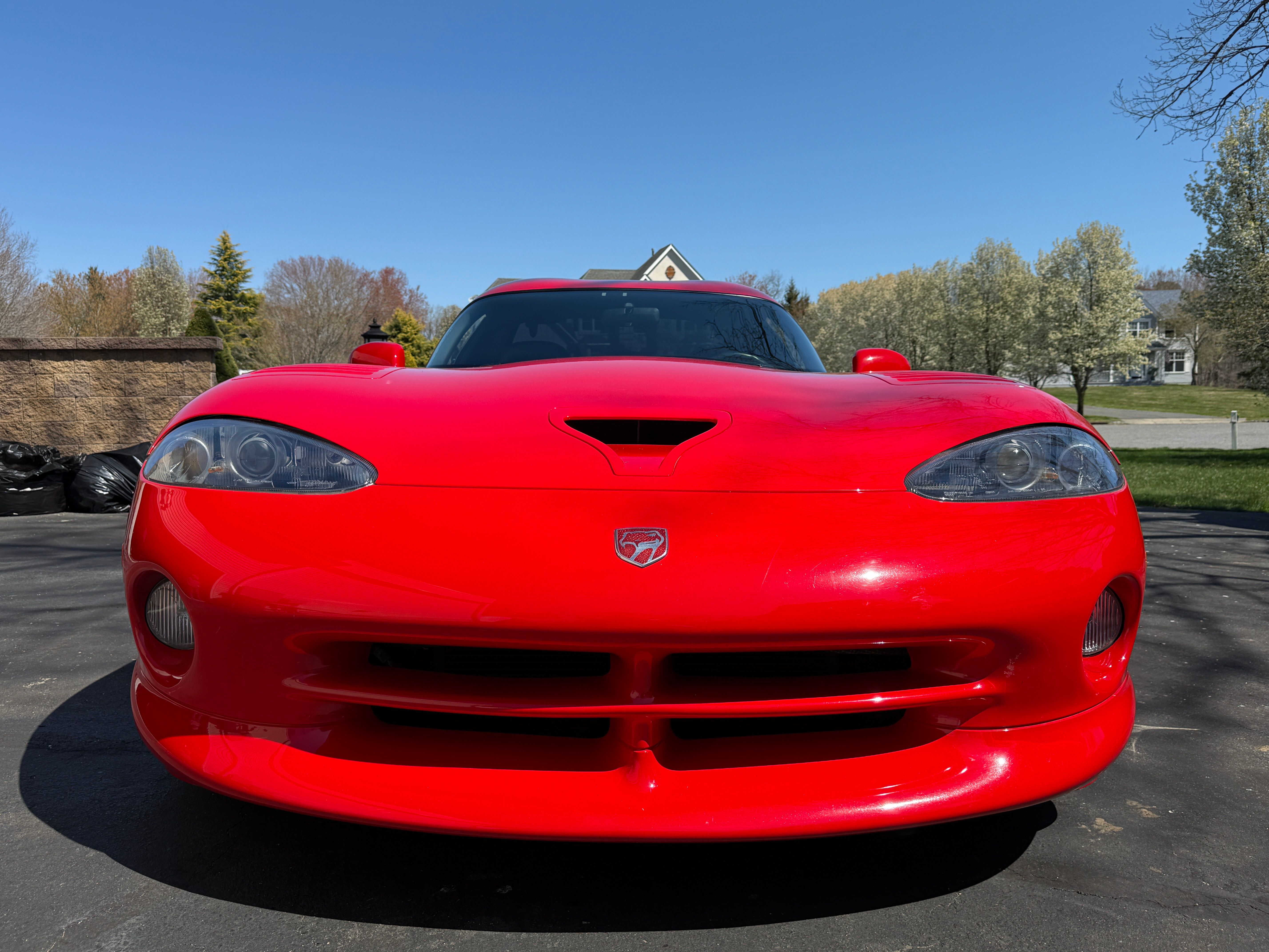 Used 1999 Dodge Viper GTS RWD image 5
