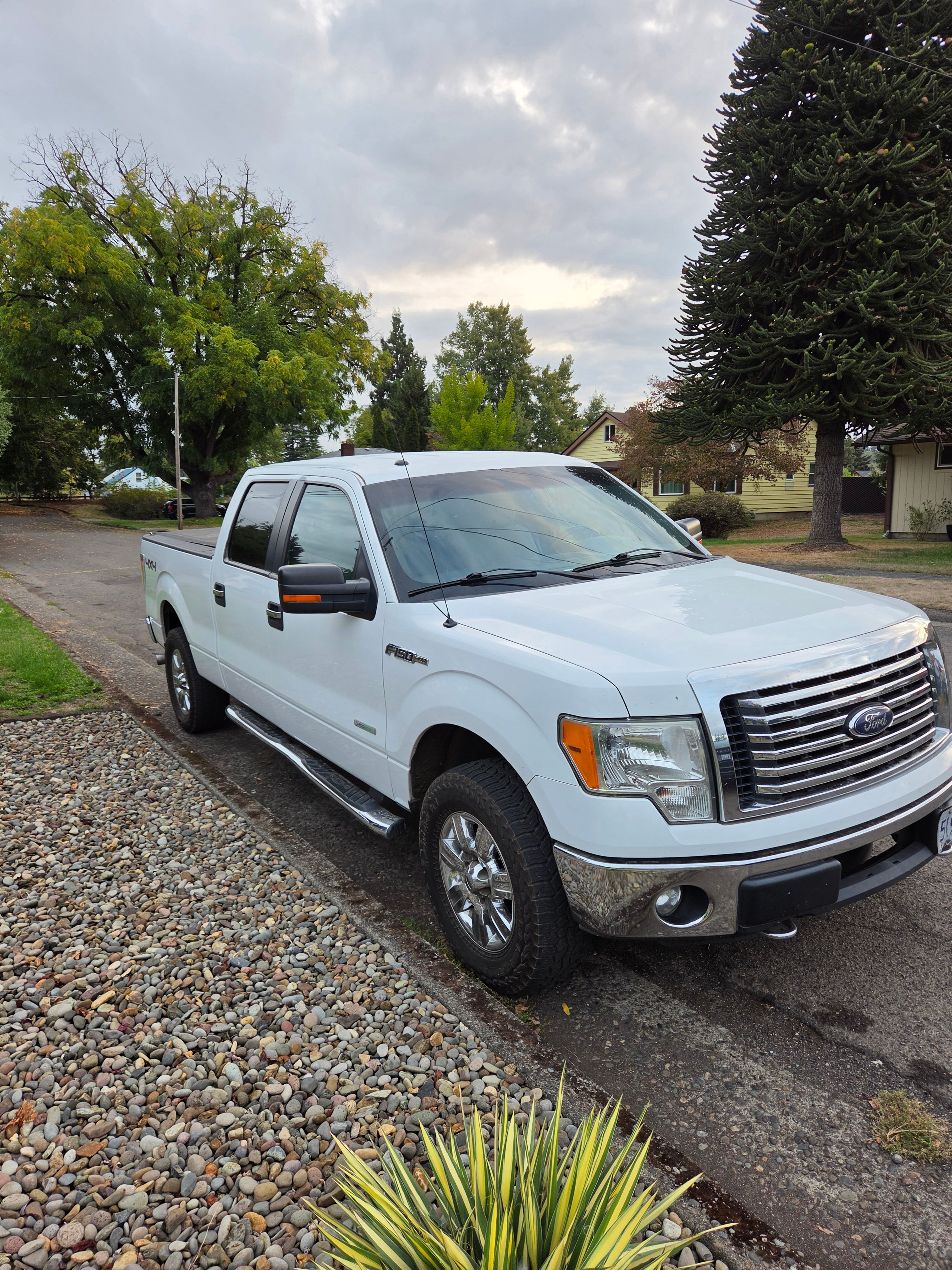 Used 2012 Ford F150 XLT w/ XLT Chrome Pkg AWD/4WD image 1