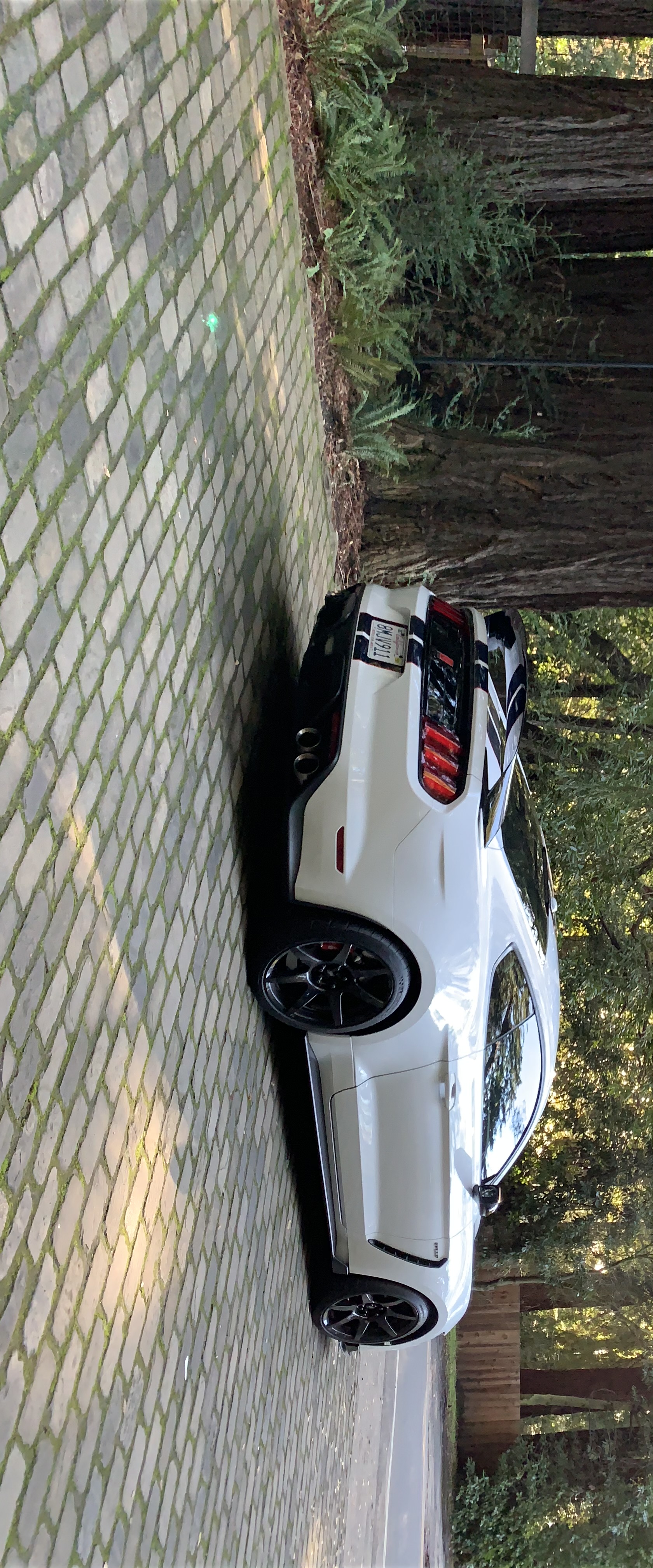 Used 2019 Ford Mustang Shelby GT350R w/ GT350R Equipment Group 920A RWD image 5