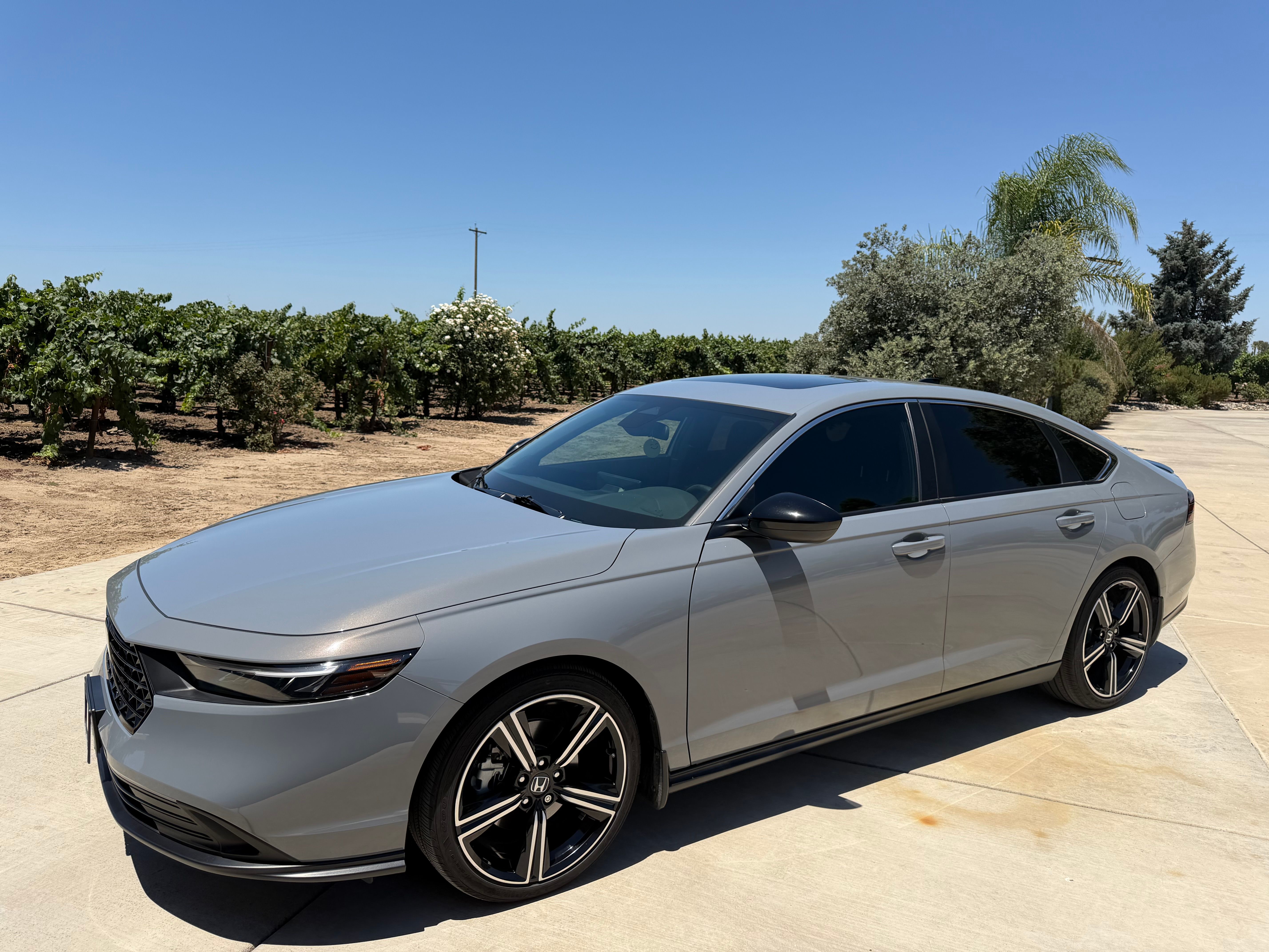 Used 2023 Honda Accord Sport image 1