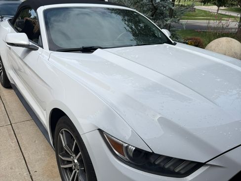 Used 2017 Ford Mustang Premium RWD image 1