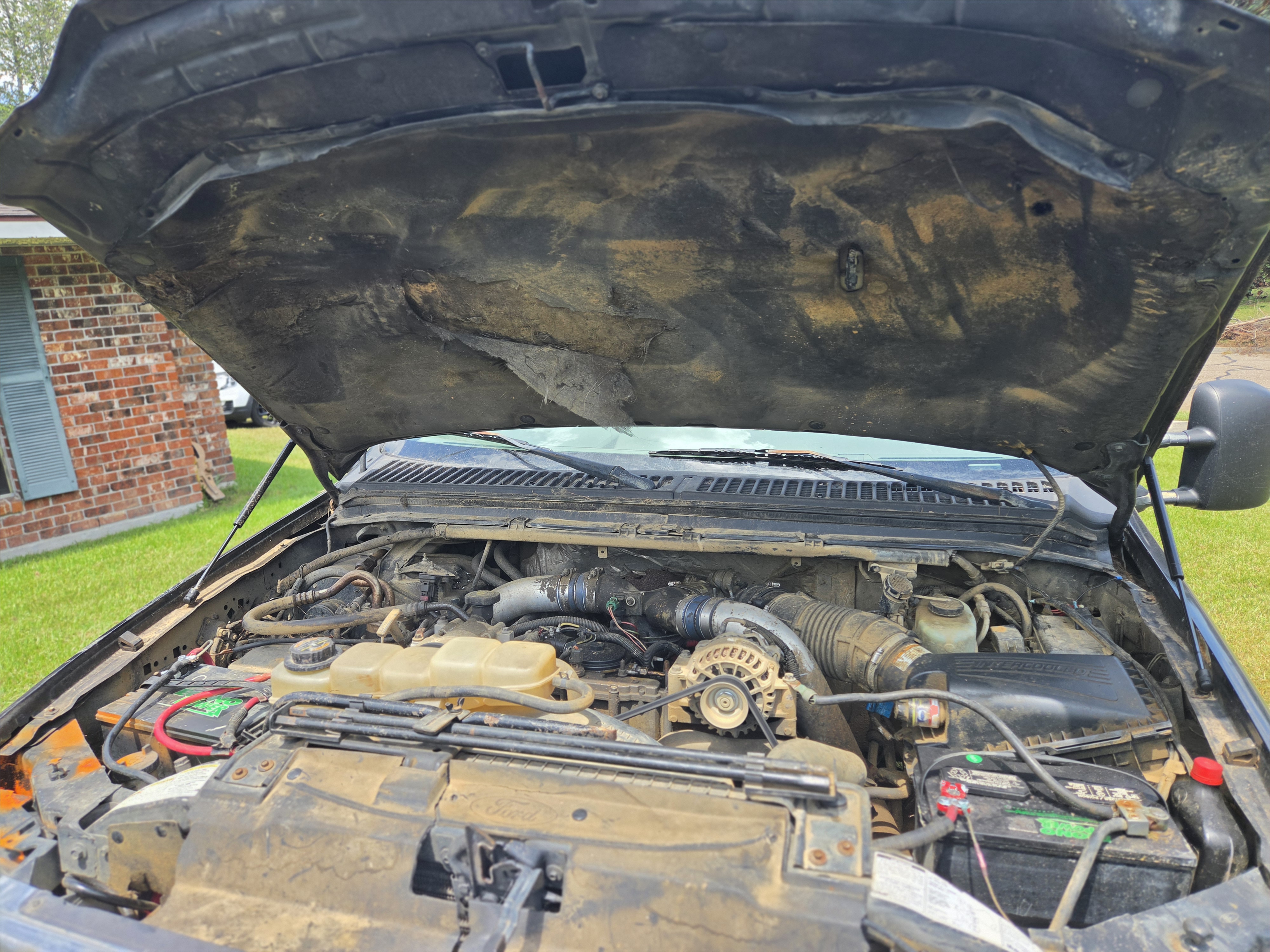 Used 1999 Ford F250 4x4 Regular Cab Super Duty image 17