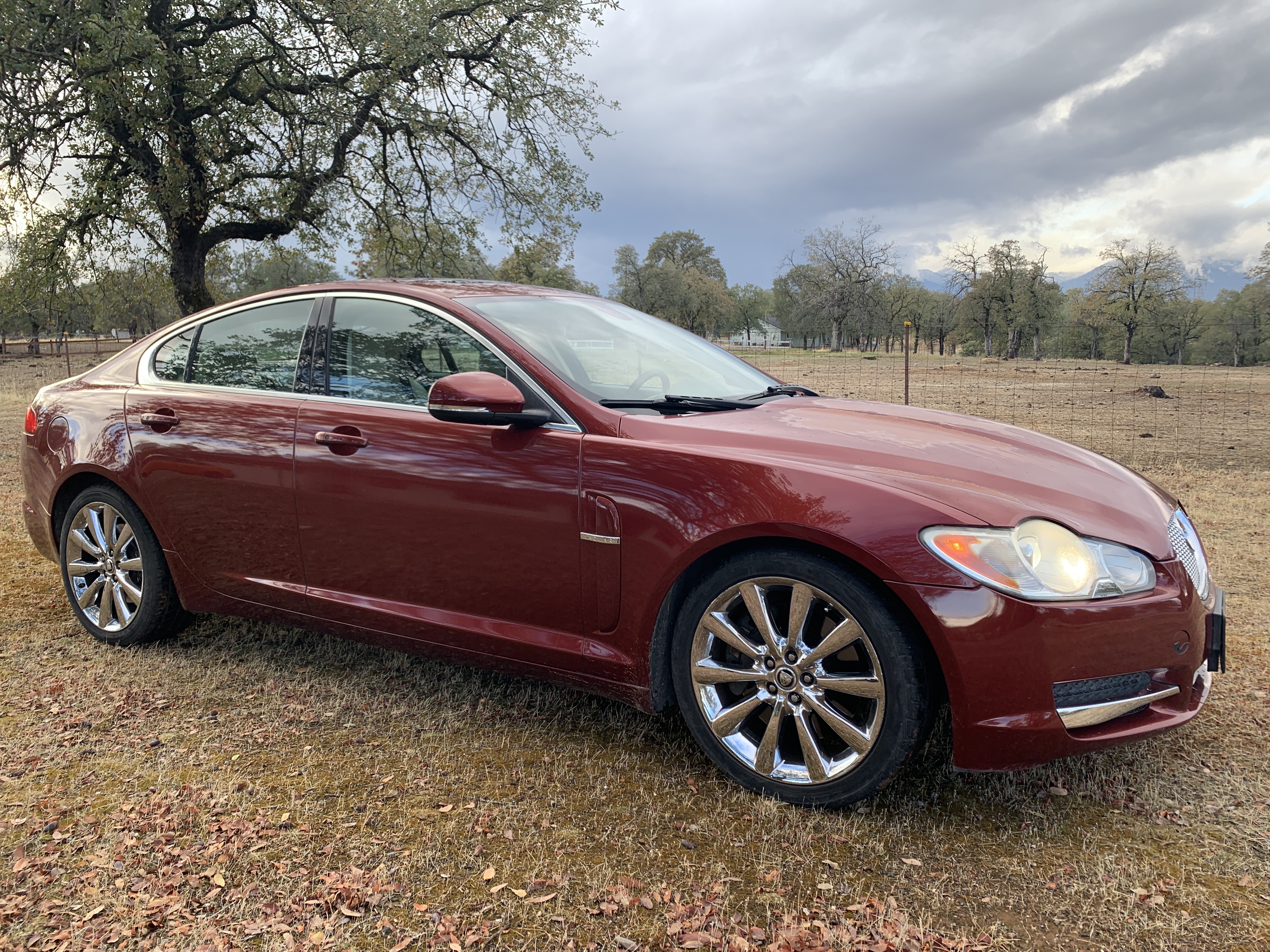 Used 2011 Jaguar XF Premium RWD image 8