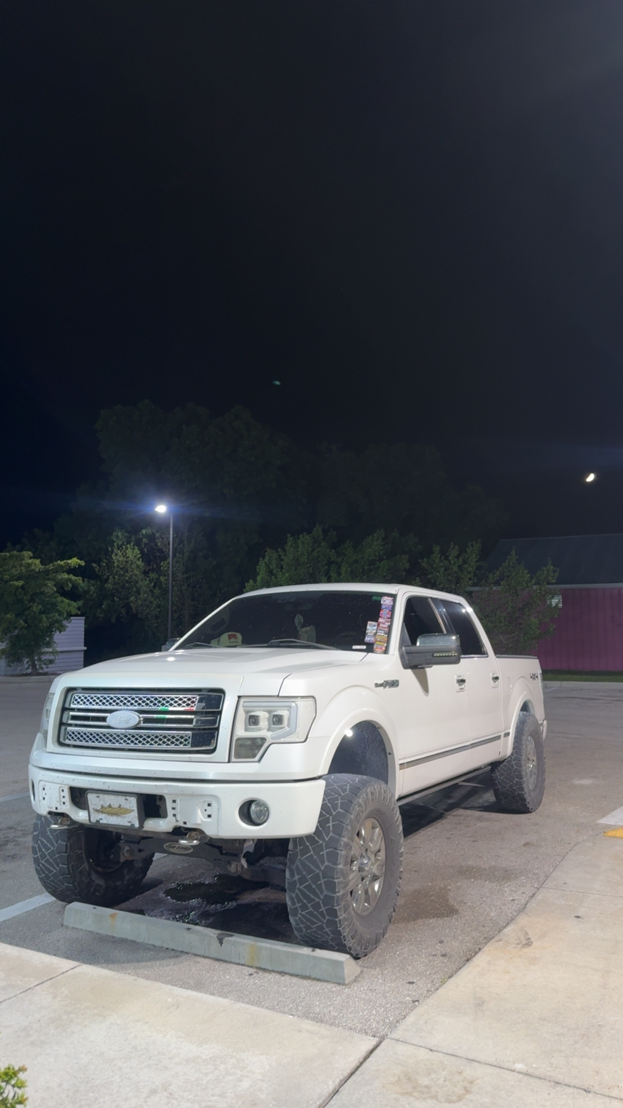 Used 2010 Ford F150 Platinum AWD/4WD image 1