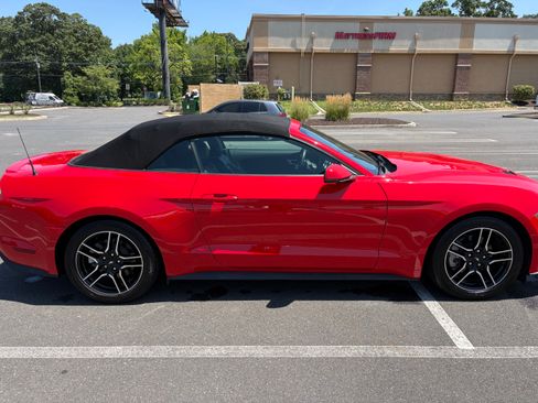 Used 2018 Ford Mustang Premium w/ Equipment Group 201A RWD image 14