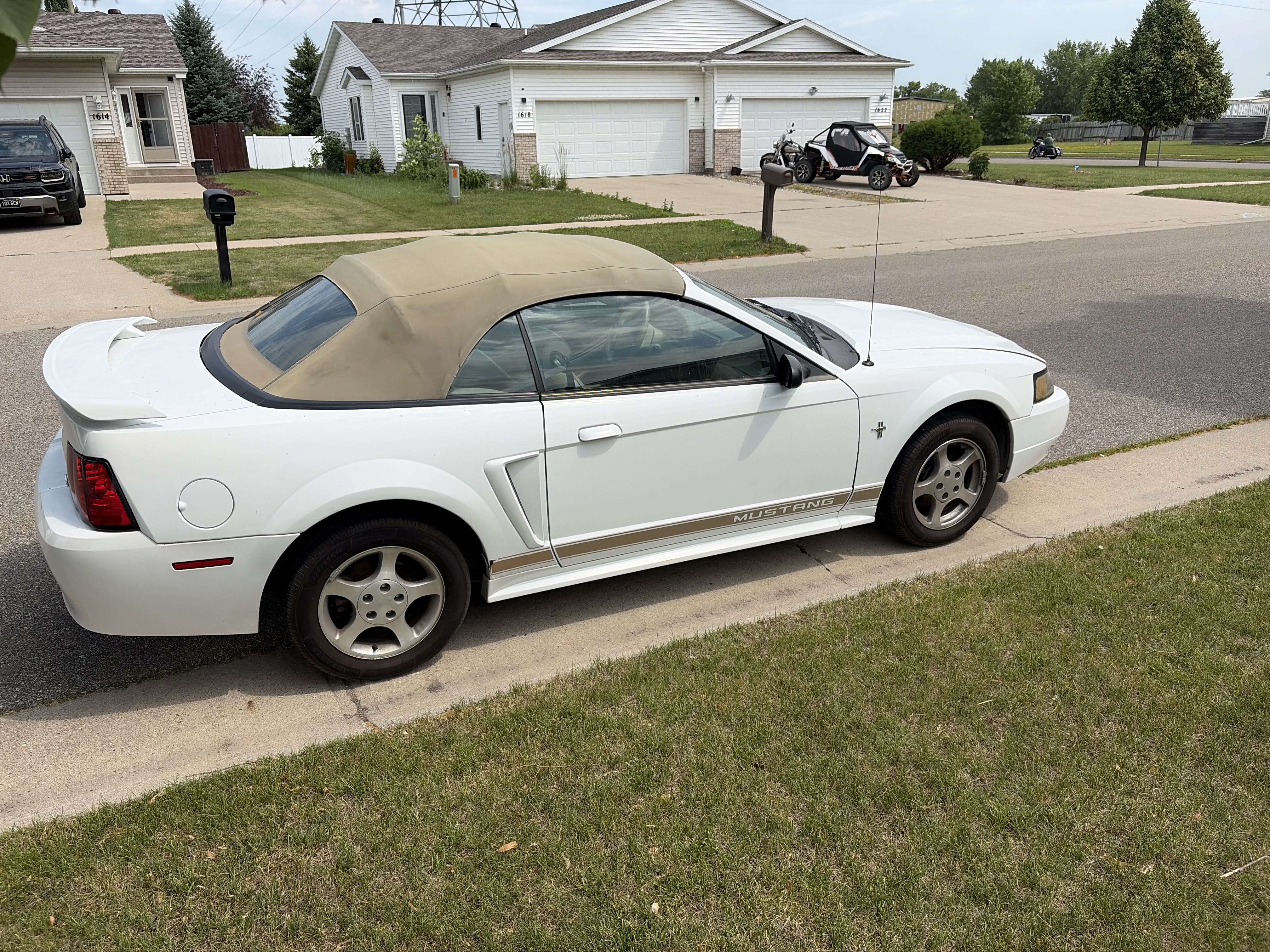 Used 2002 Ford Mustang Premium RWD image 4