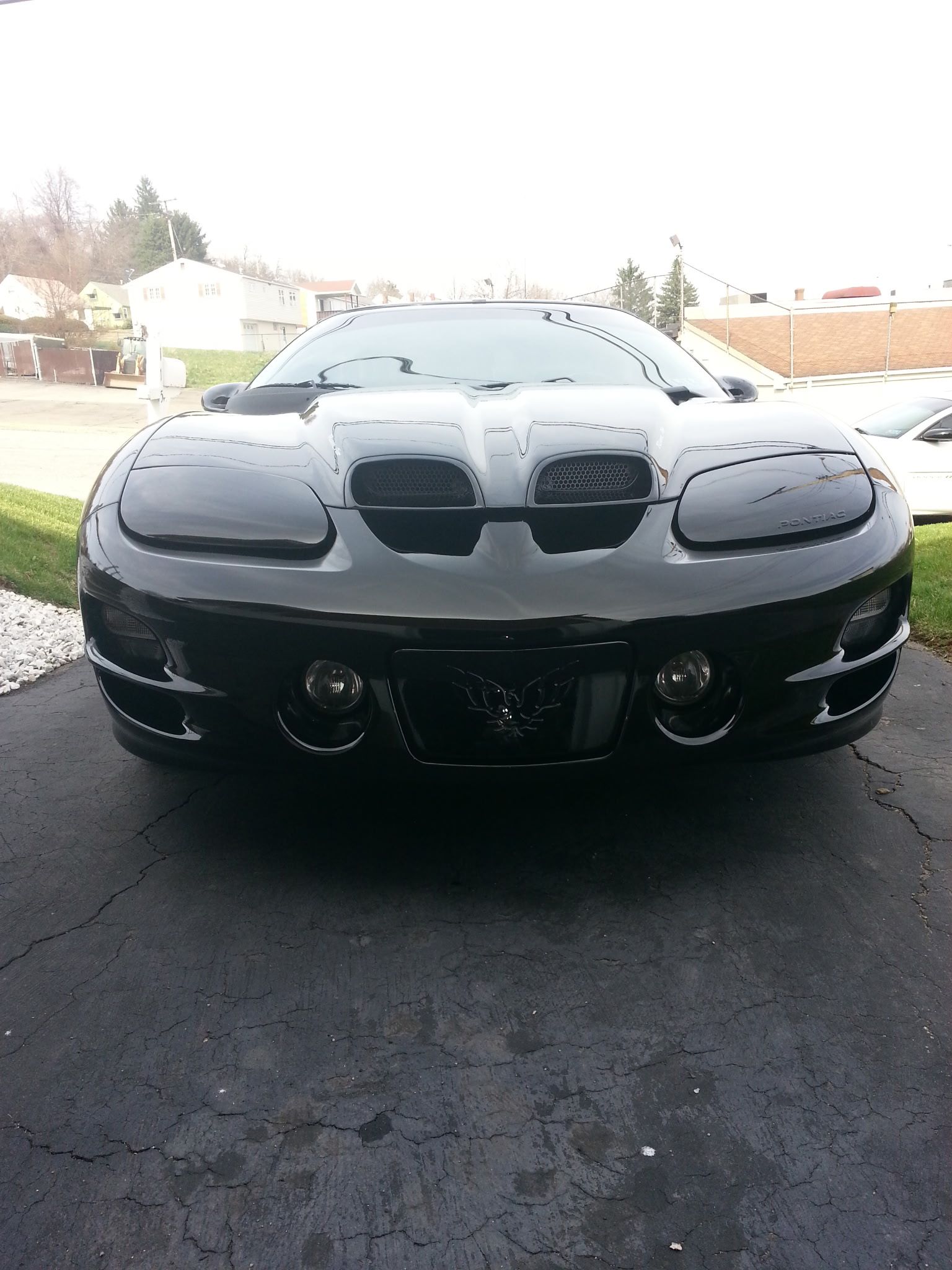 Used 2000 Pontiac Firebird Formula RWD image 1