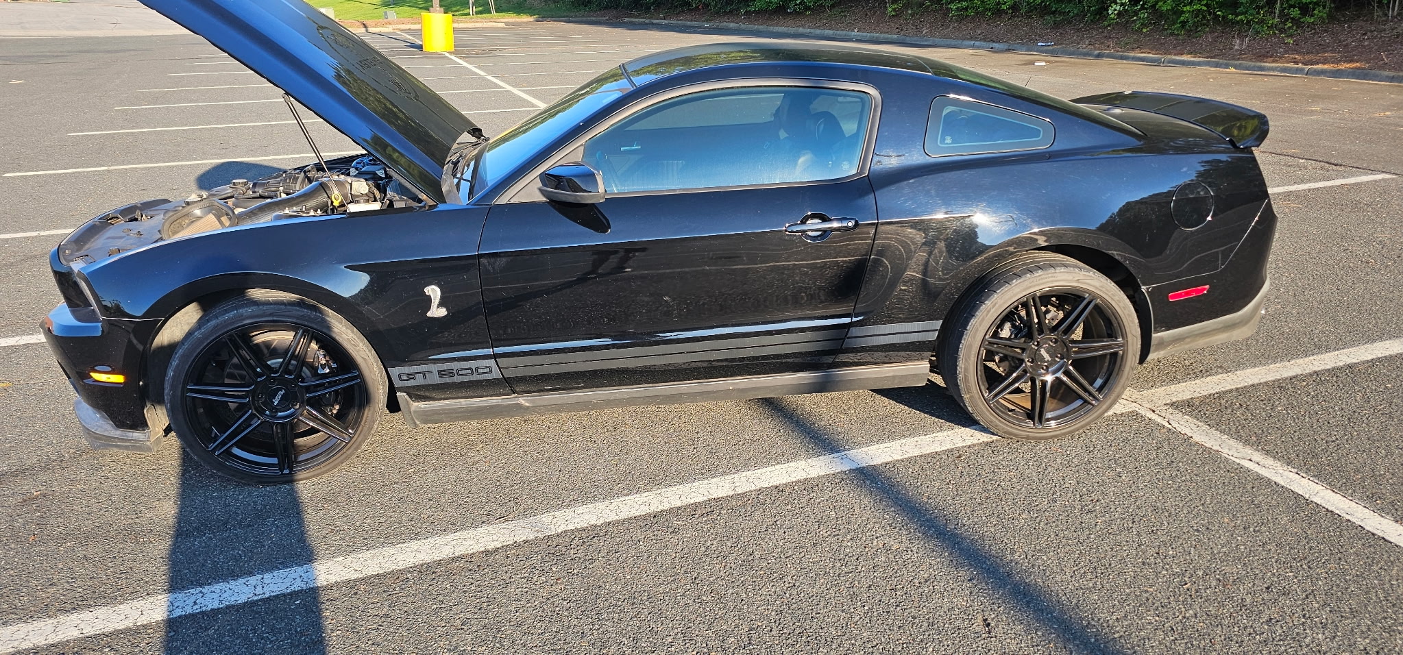 Used 2010 Ford Mustang Shelby GT500 RWD image 5