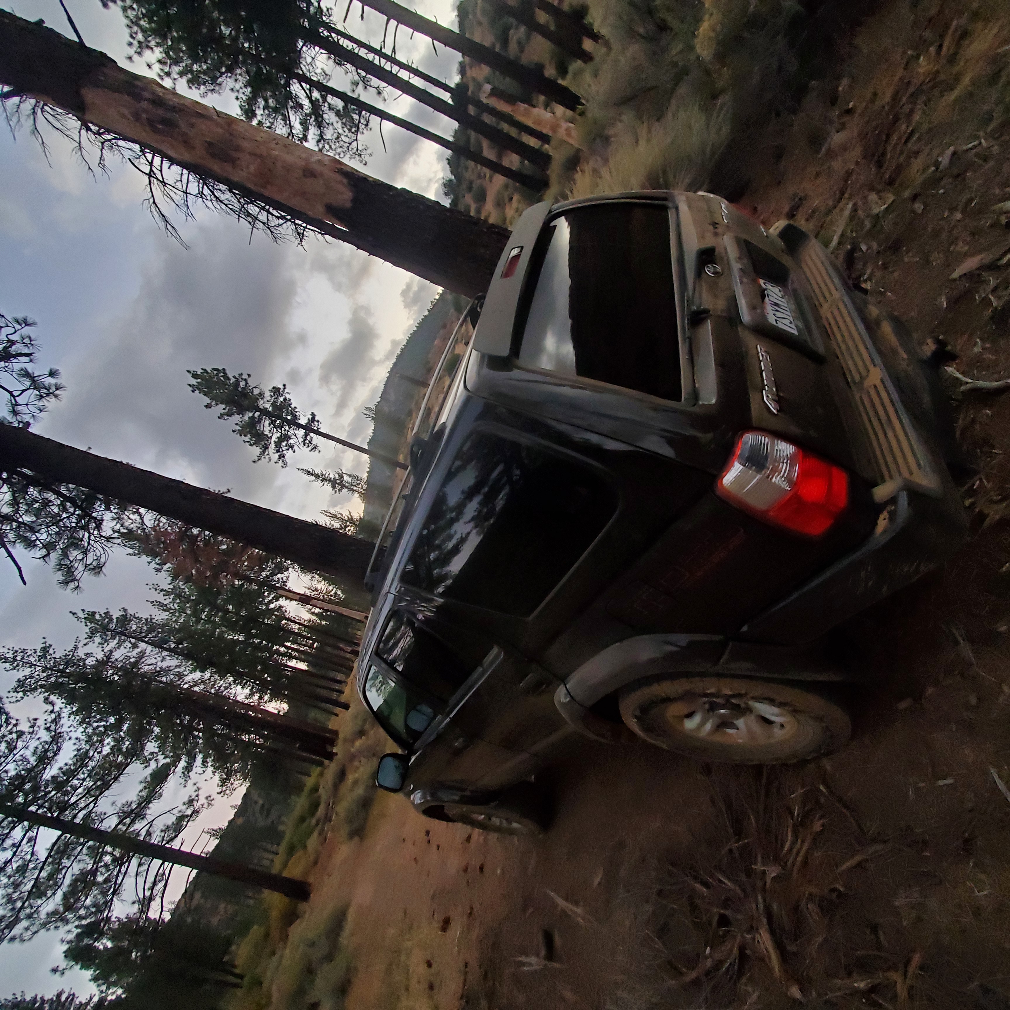 Used 2001 Toyota 4Runner SR5 AWD/4WD image 11