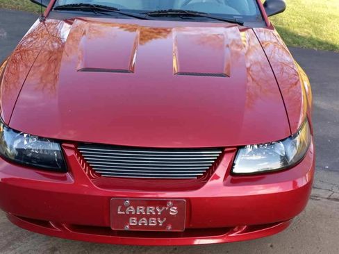 Used 2002 Ford Mustang GT RWD image 4