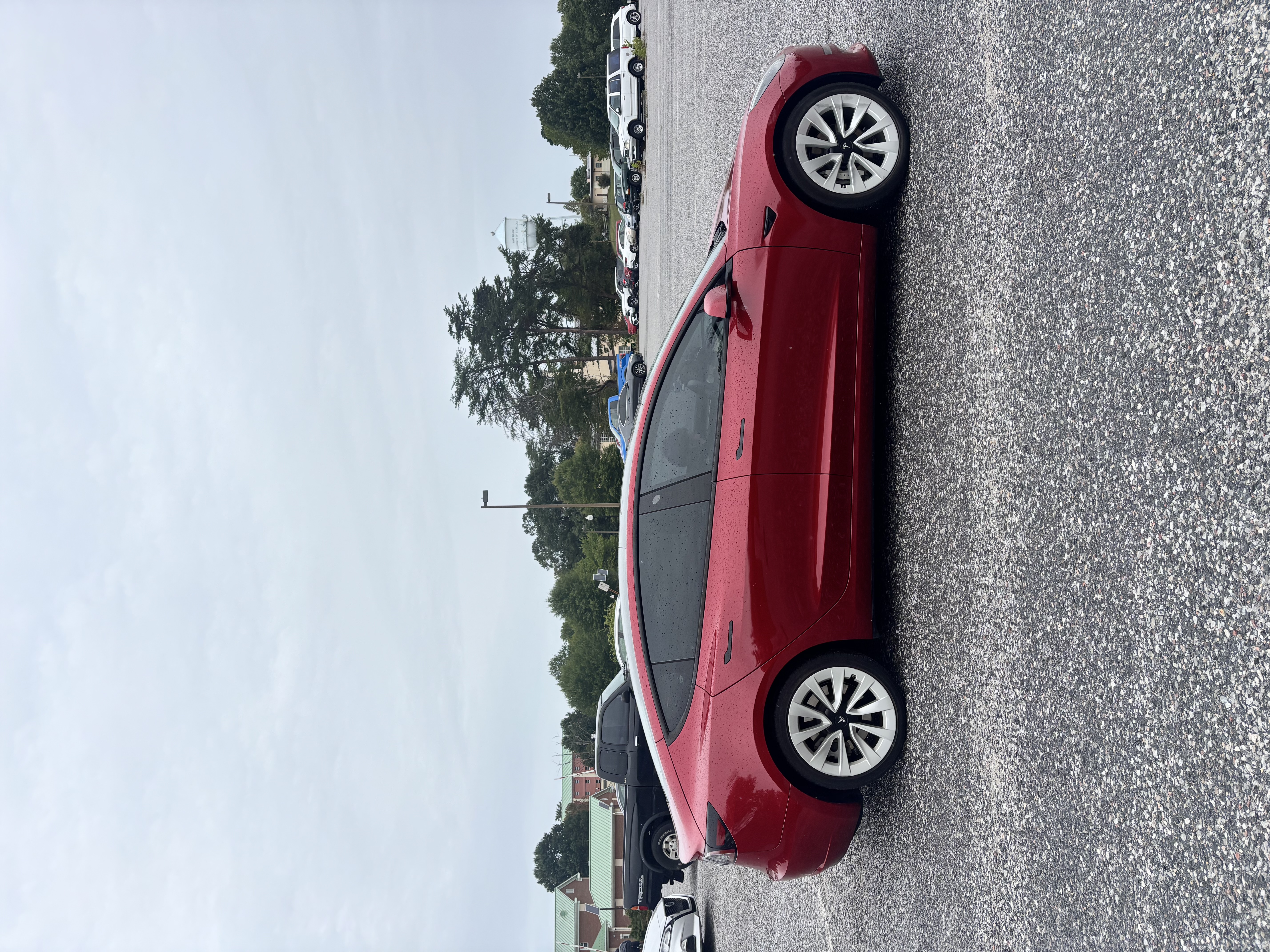 Used 2023 Tesla Model 3 Standard Range RWD image 4