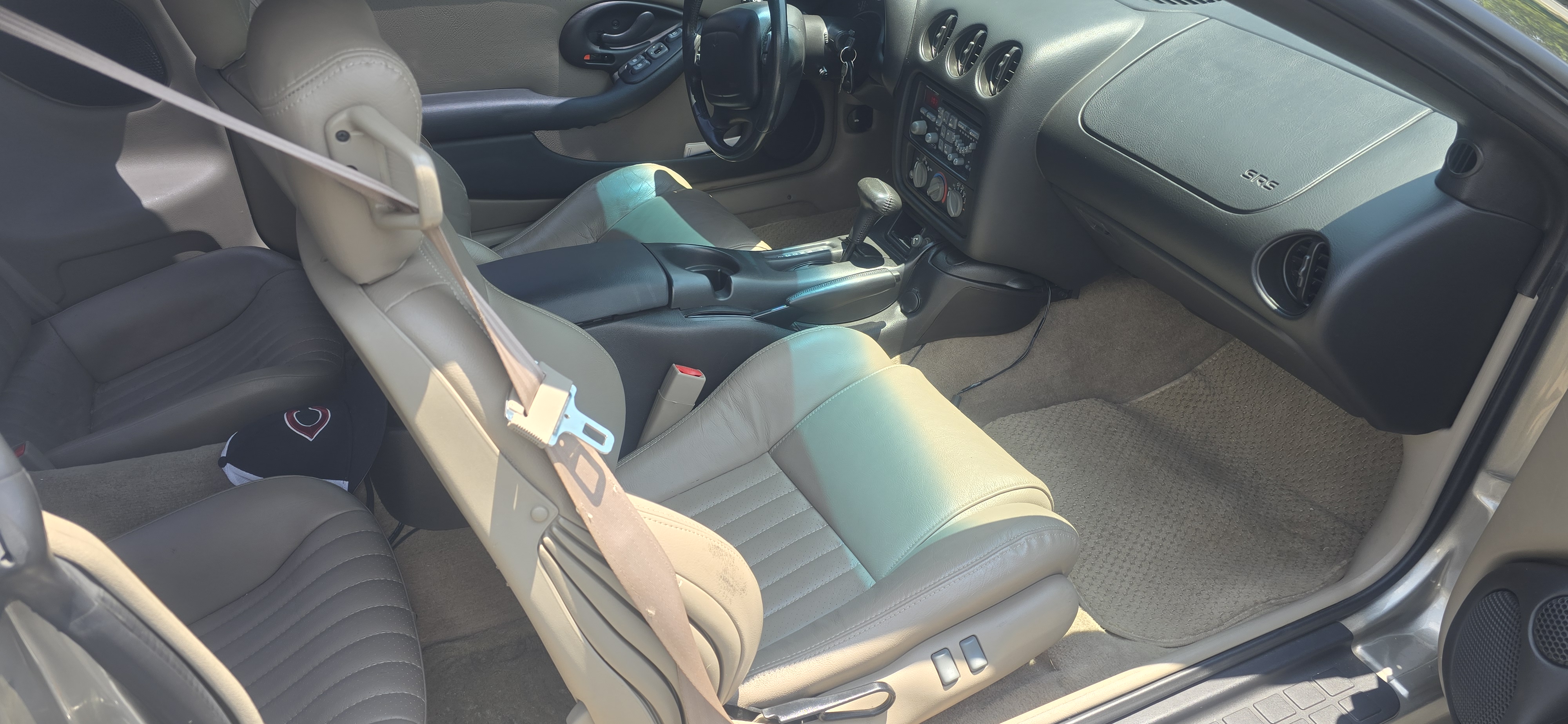 Used 2002 Pontiac Firebird Trans Am RWD image 12