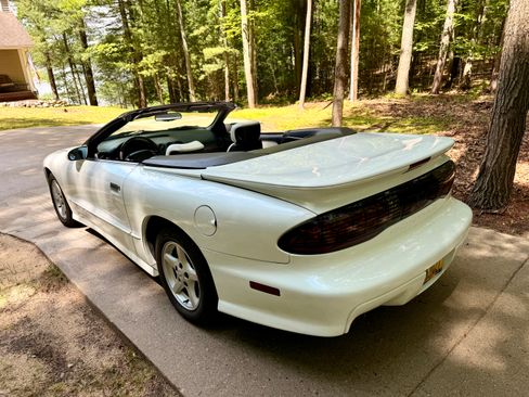 Used 1995 Pontiac Firebird Trans Am RWD image 5