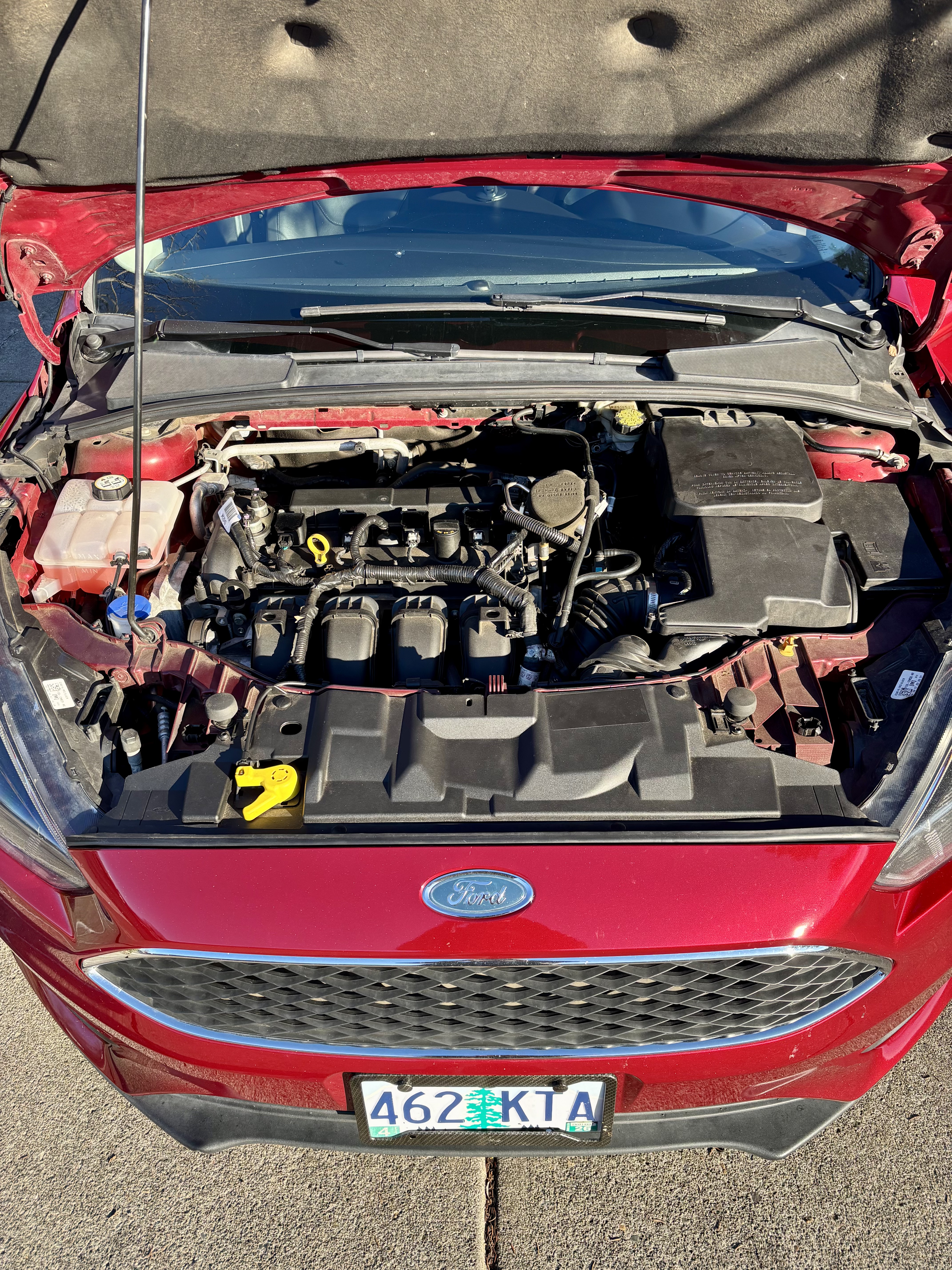 Used 2016 Ford Focus SE FWD image 9
