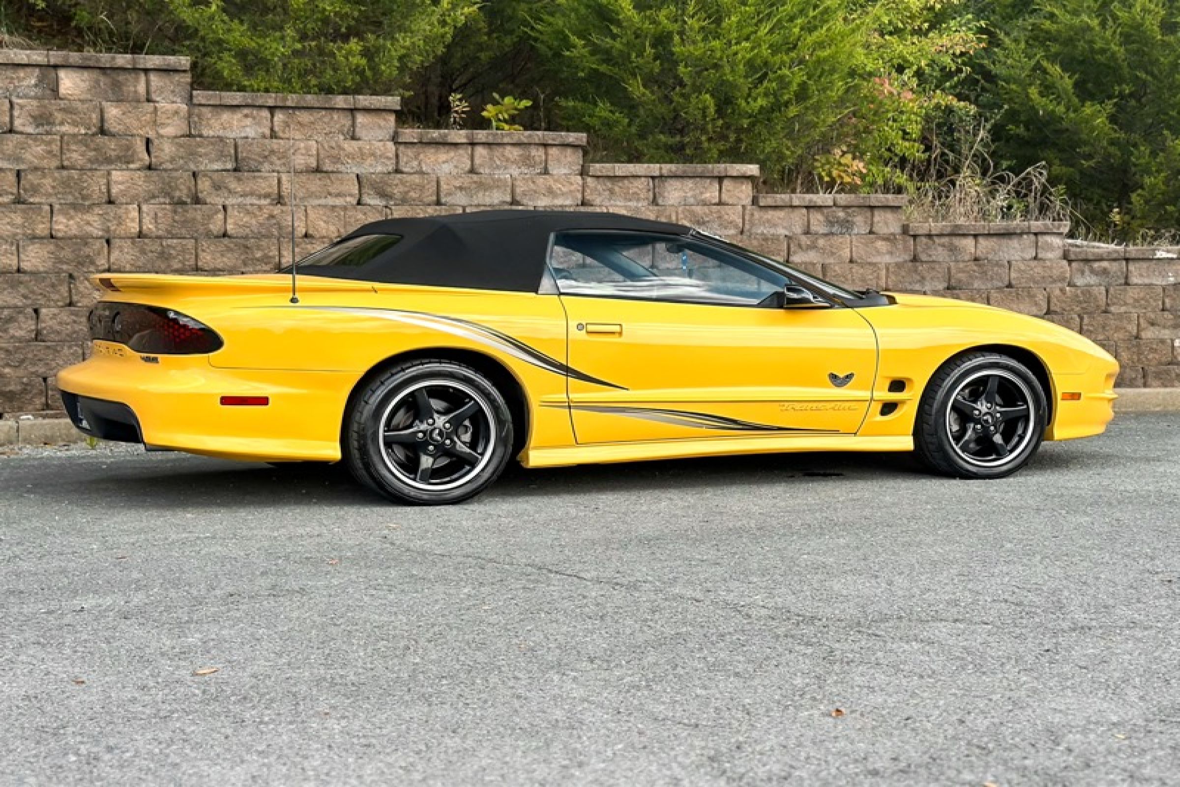 Used 2002 Pontiac Firebird Trans Am RWD image 10
