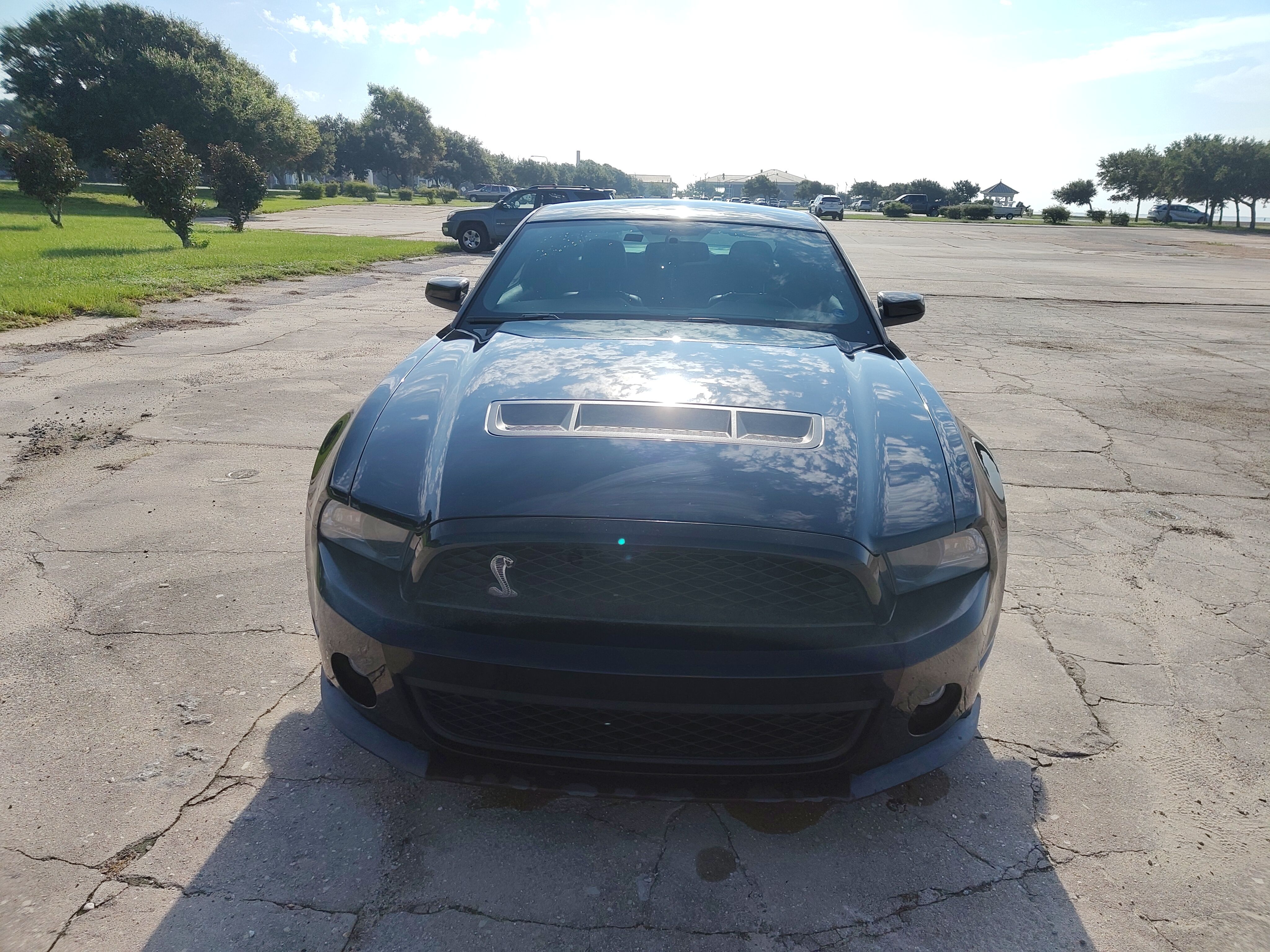 Used 2012 Ford Mustang Shelby GT500 w/ SVT Performance Pkg RWD image 16