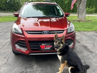 Used 2014 Ford Escape Titanium w/ Equipment Group 401A