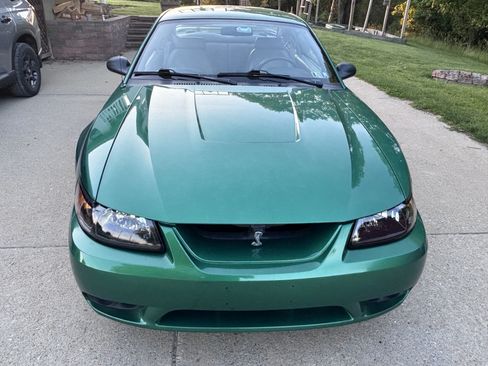 Used 1999 Ford Mustang Cobra RWD image 6