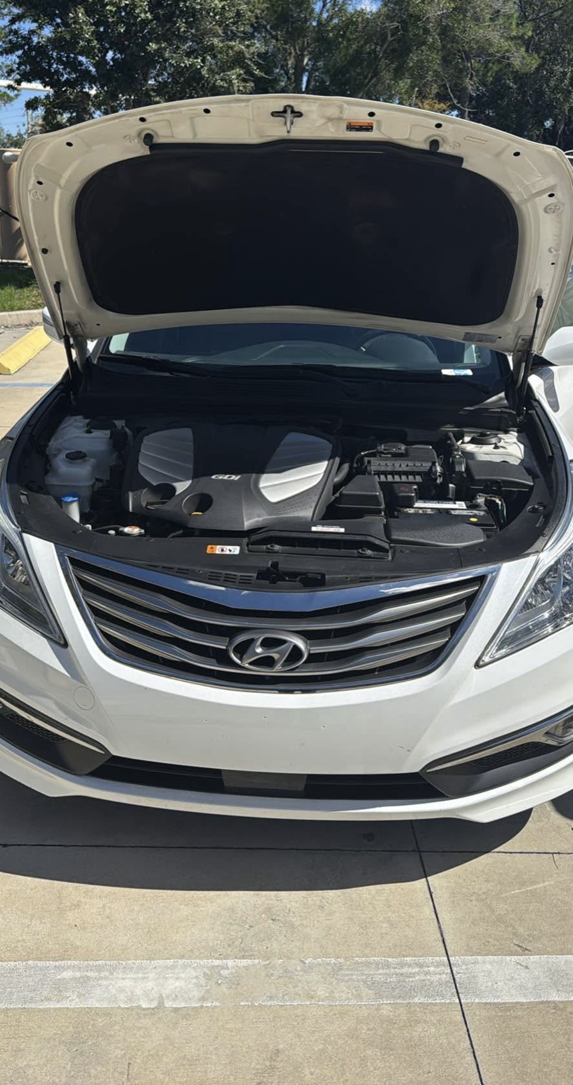 Used 2017 Hyundai Azera Limited FWD image 16