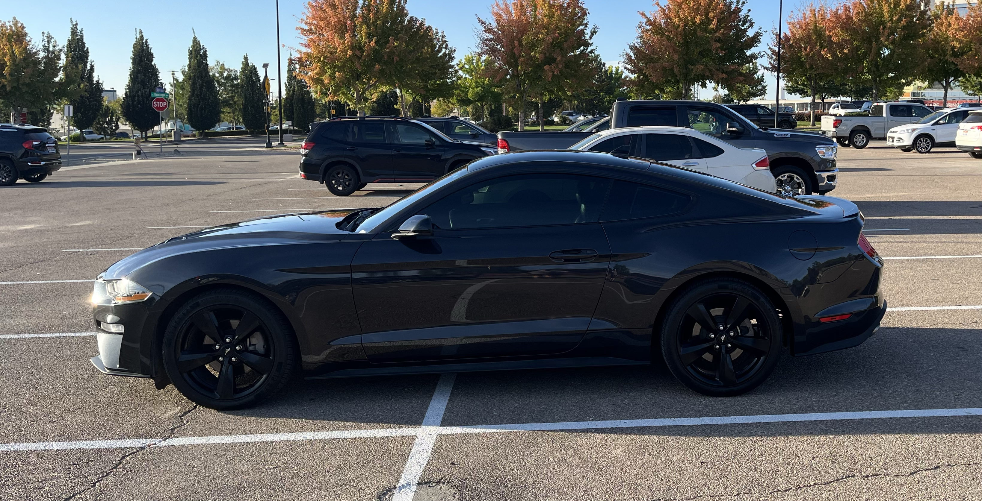 Used 2022 Ford Mustang Premium w/ Black Accent Package RWD image 8