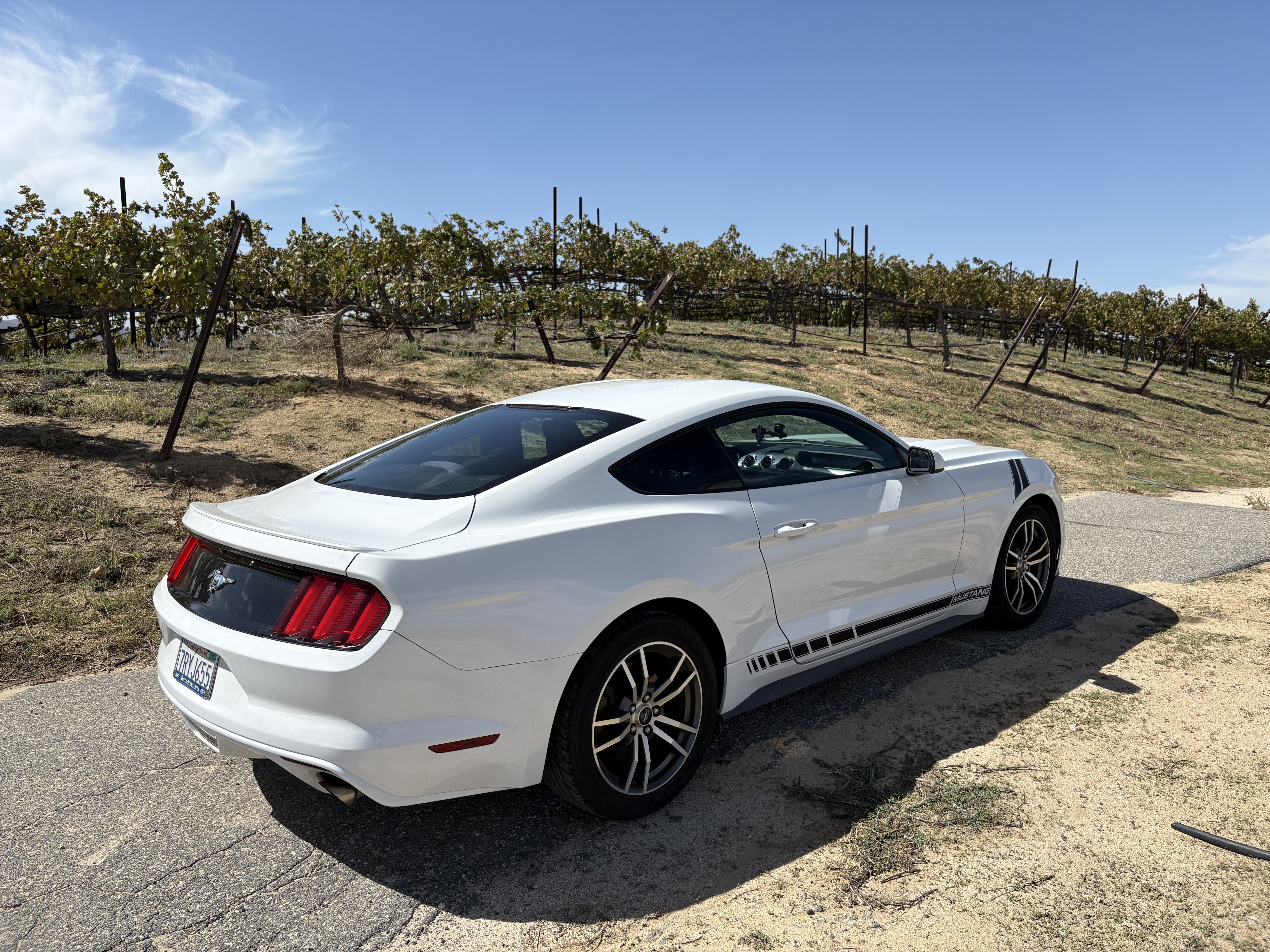Used 2016 Ford Mustang Coupe RWD image 11