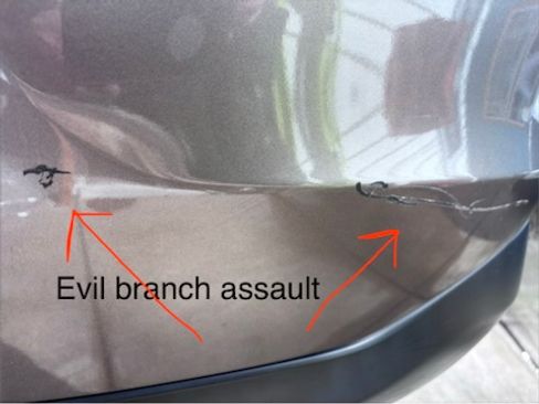 Used 2014 Honda CR-V EX image 19