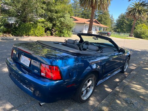 Used 2000 Ford Mustang Convertible RWD image 6