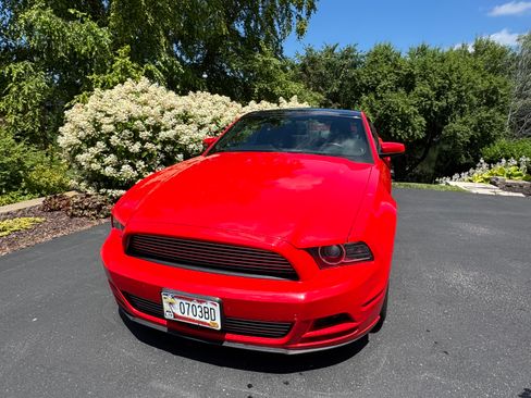 Used 2014 Ford Mustang Premium w/ Equipment Group 203A RWD image 2