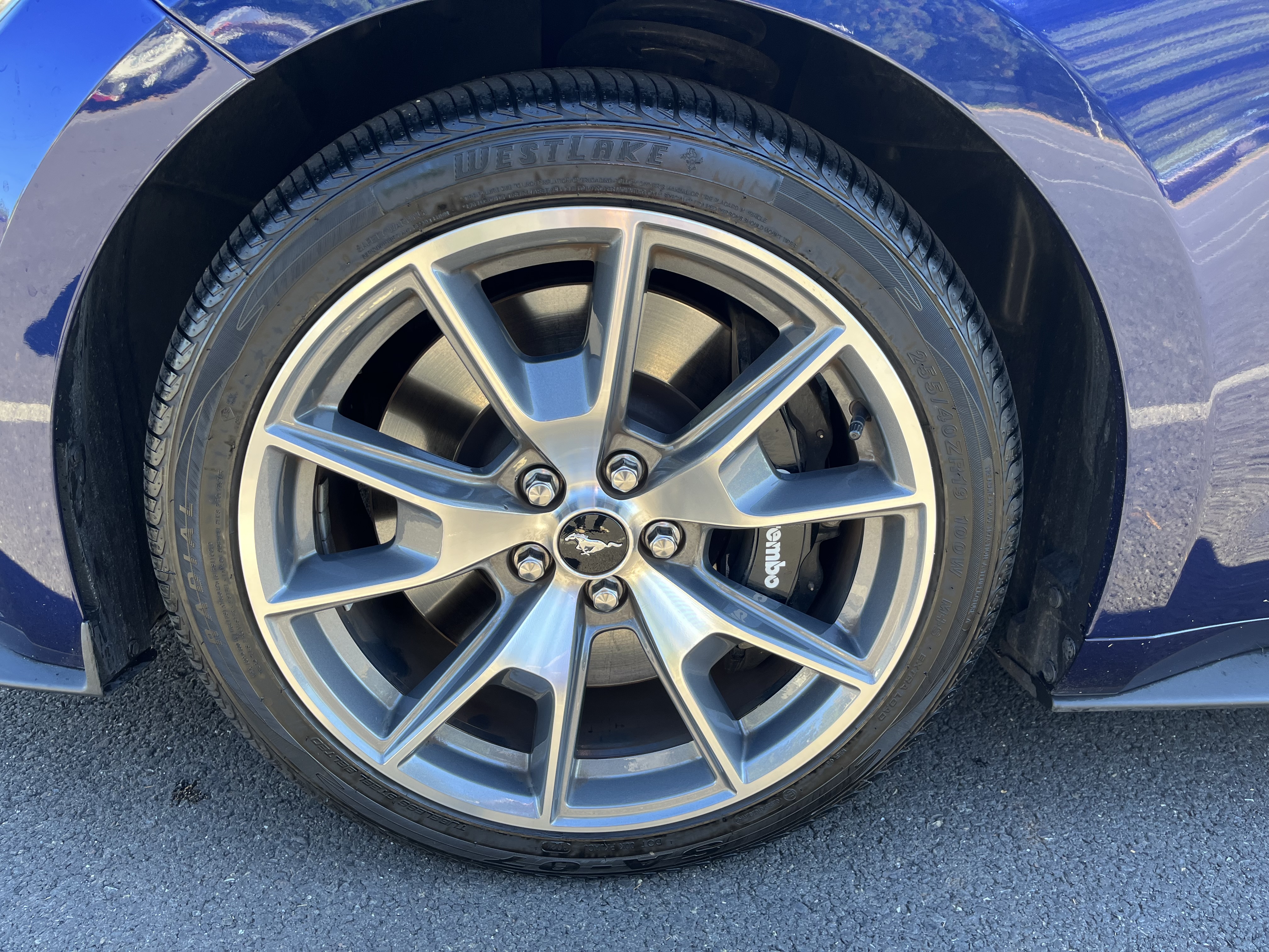 Used 2015 Ford Mustang 50 Years RWD image 14