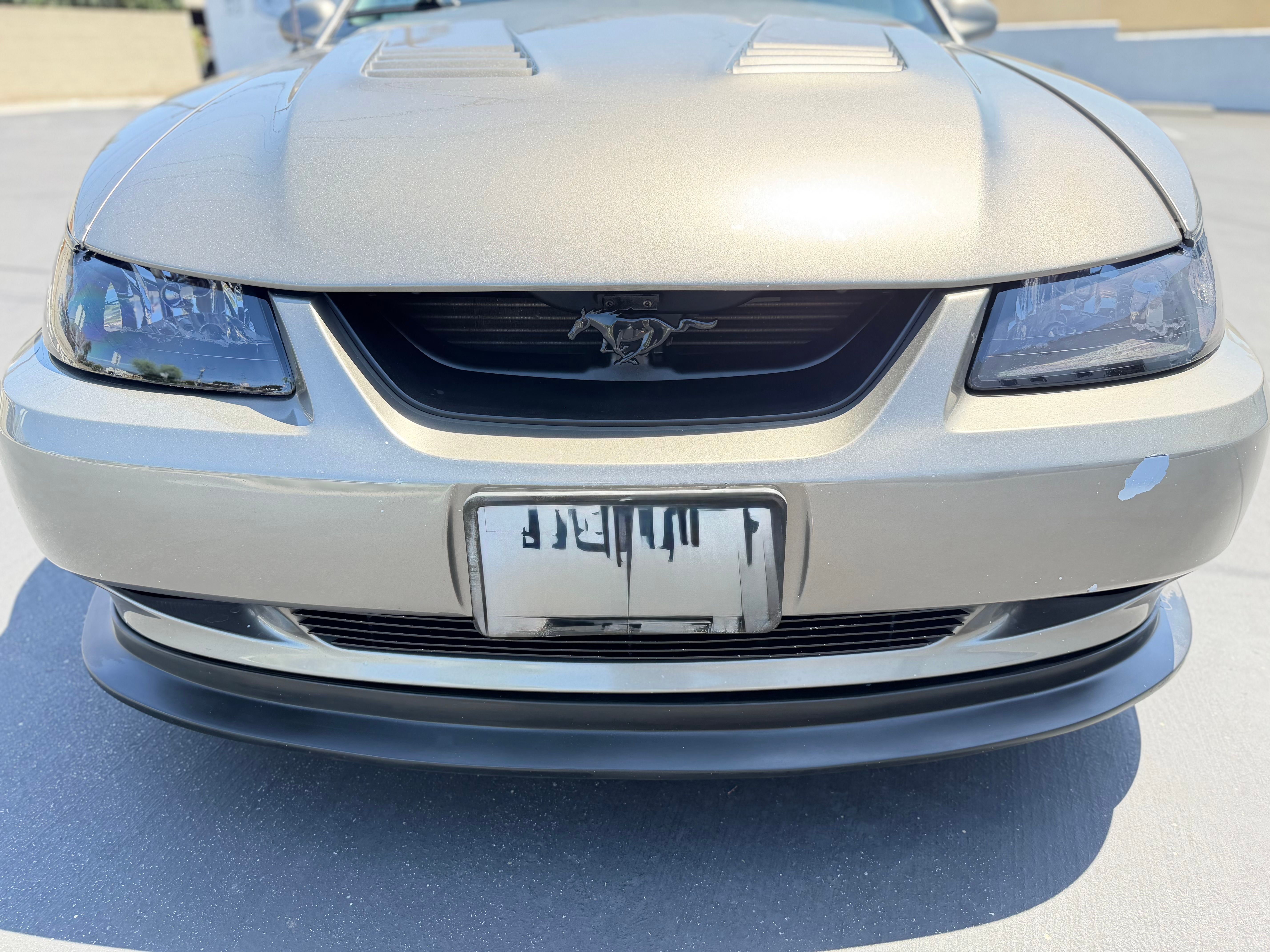 Used 2001 Ford Mustang GT RWD image 10