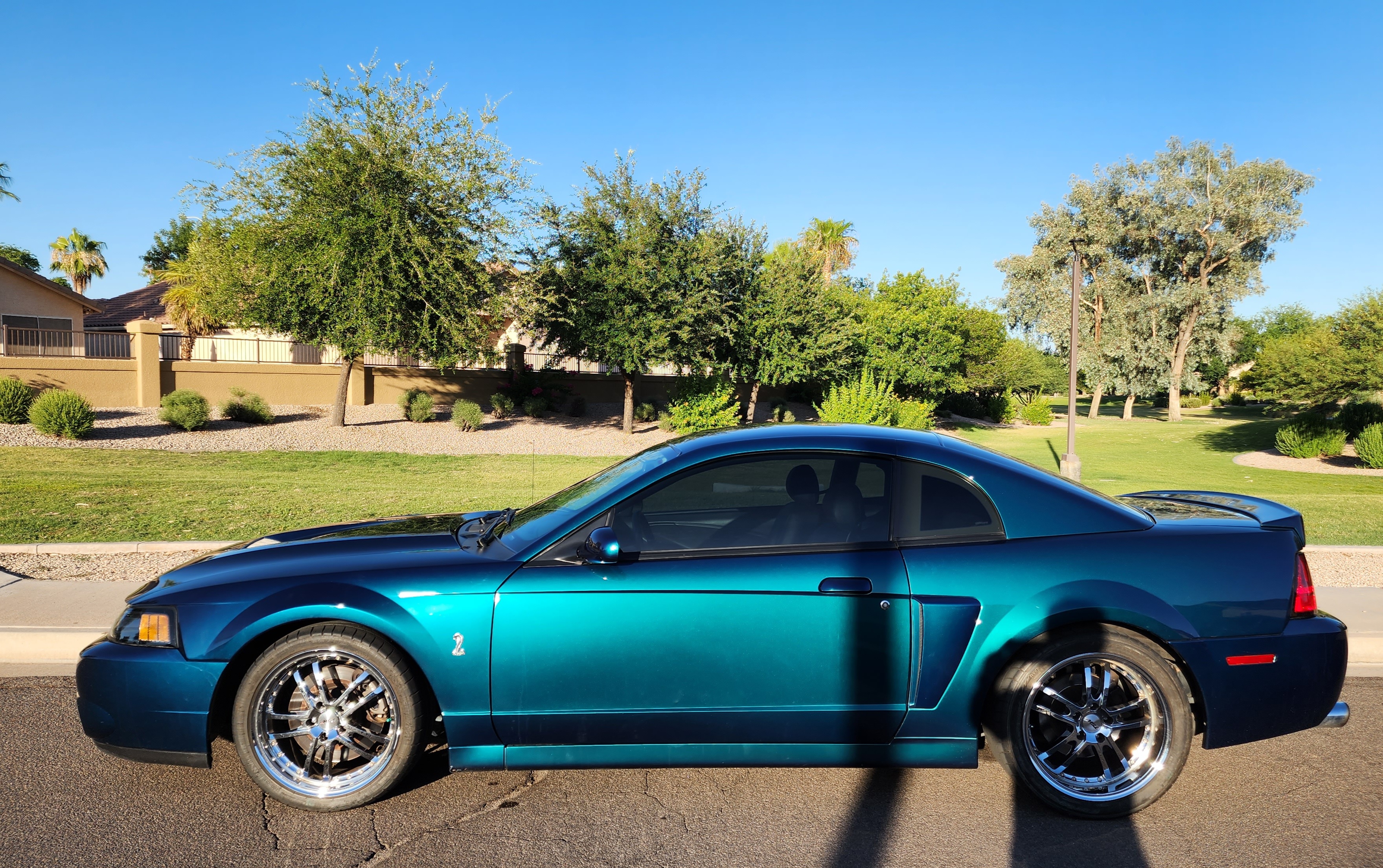 Used 2004 Ford Mustang Cobra RWD image 11