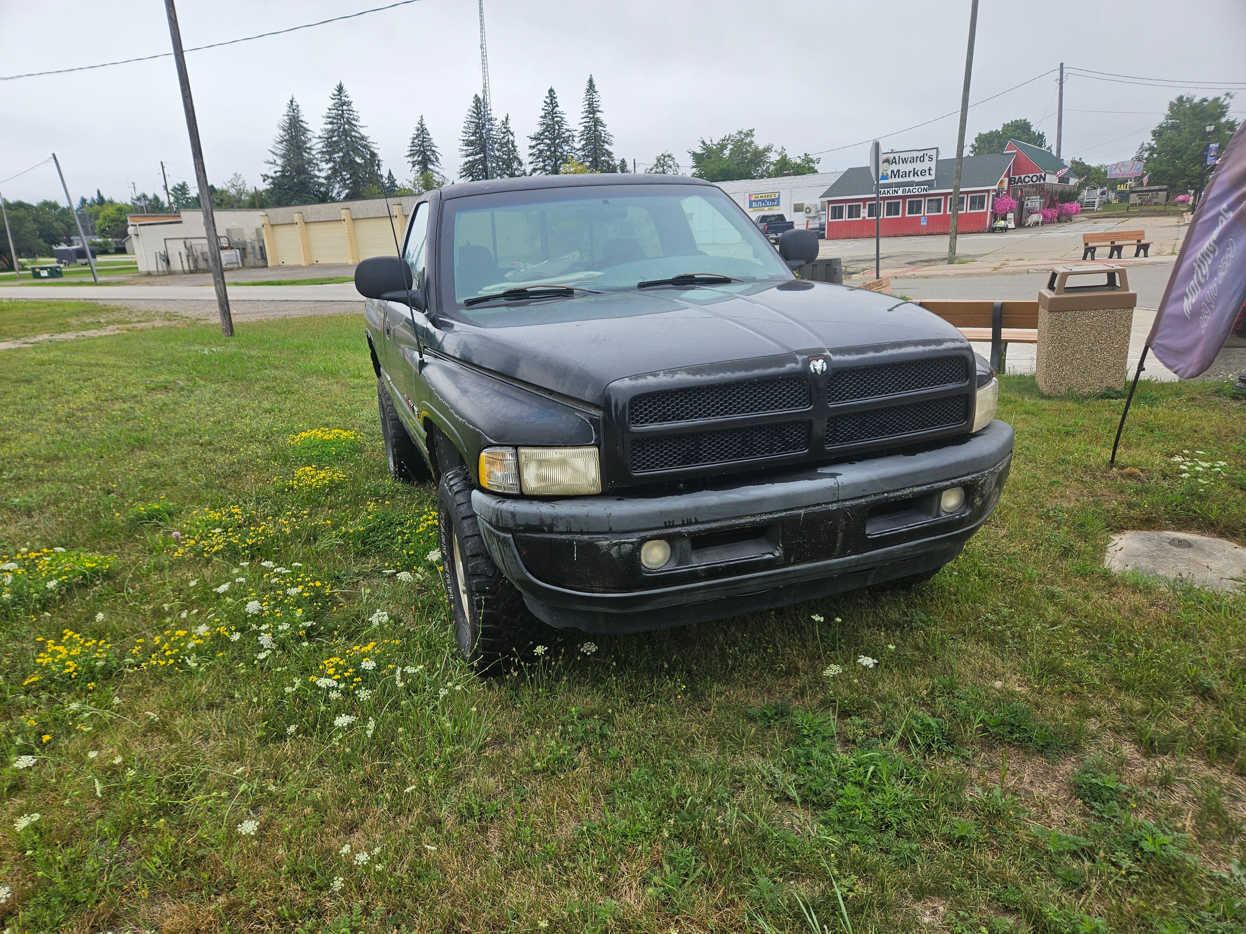 Used 1998 Dodge Ram 1500 Truck 4x4 Regular Cab image 11