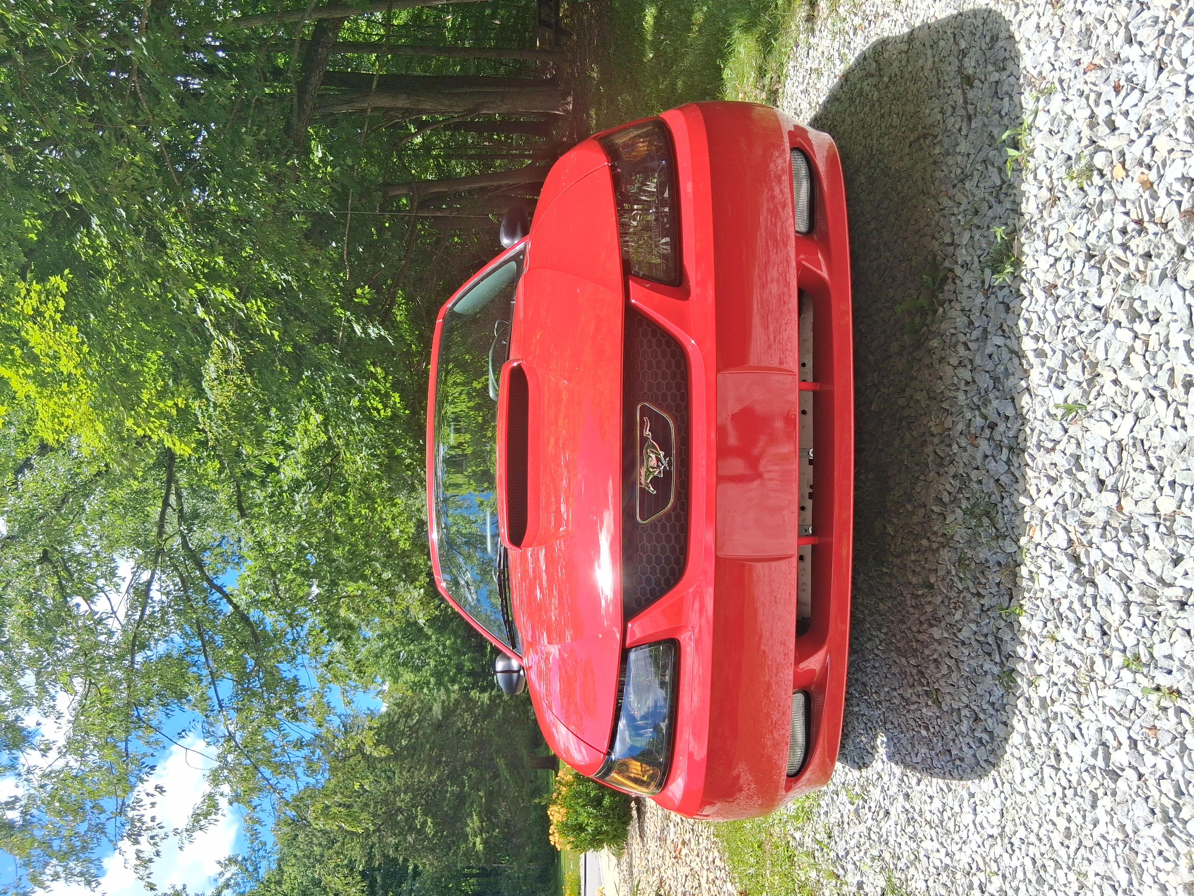 Used 2003 Ford Mustang GT Premium RWD image 5
