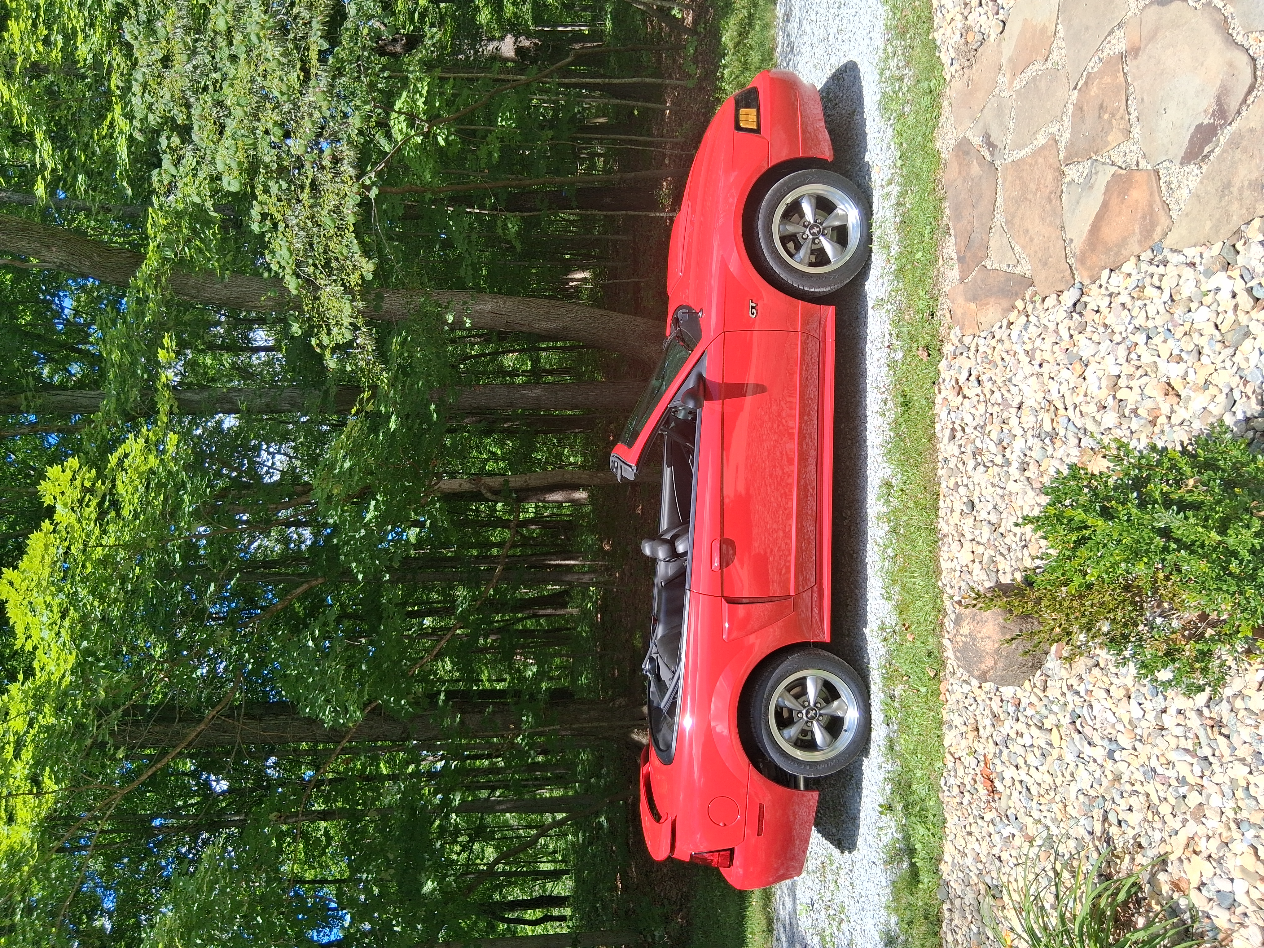 Used 2003 Ford Mustang GT Premium RWD image 1