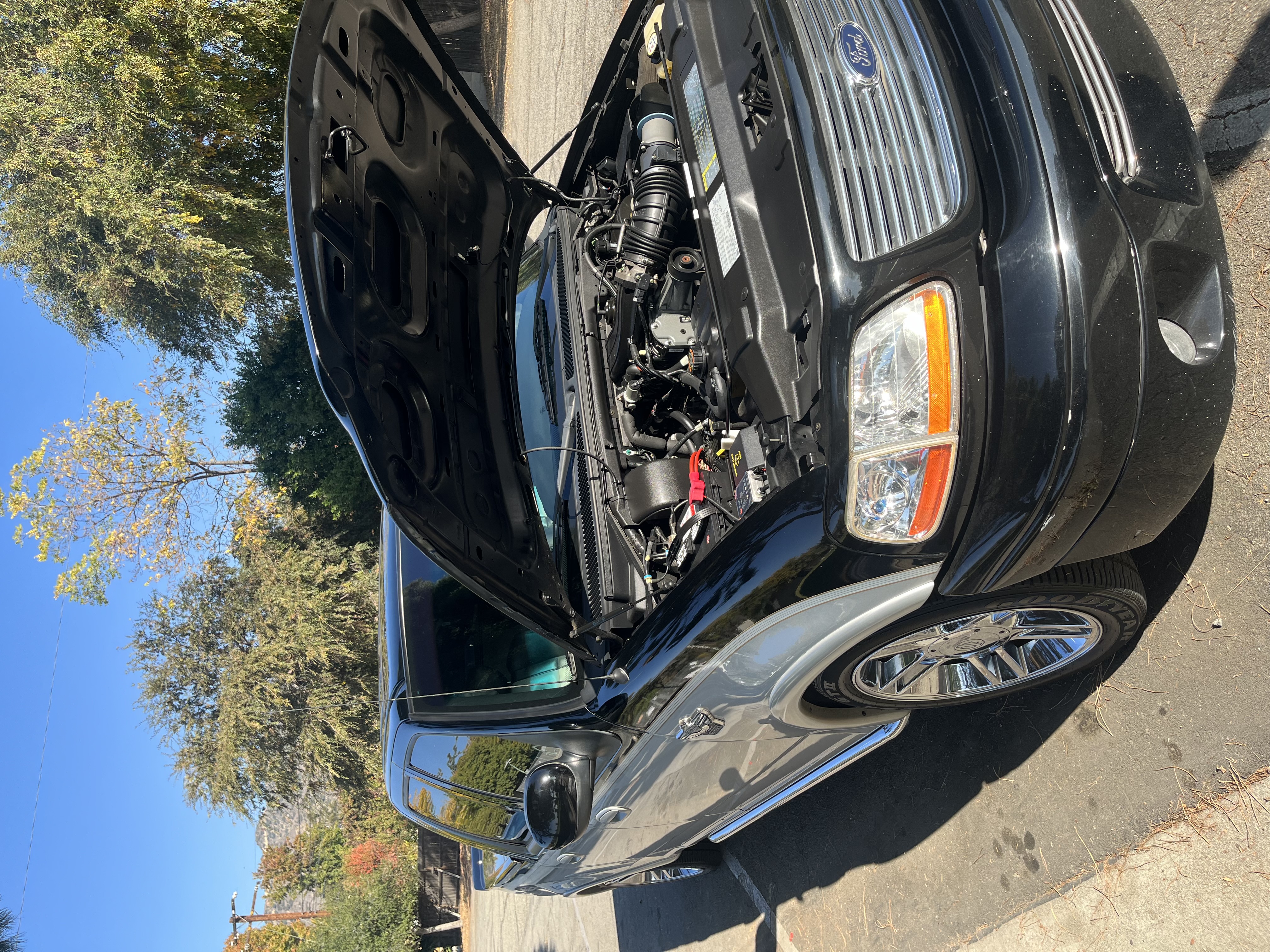 Used 2003 Ford F150 Harley-Davidson RWD image 6
