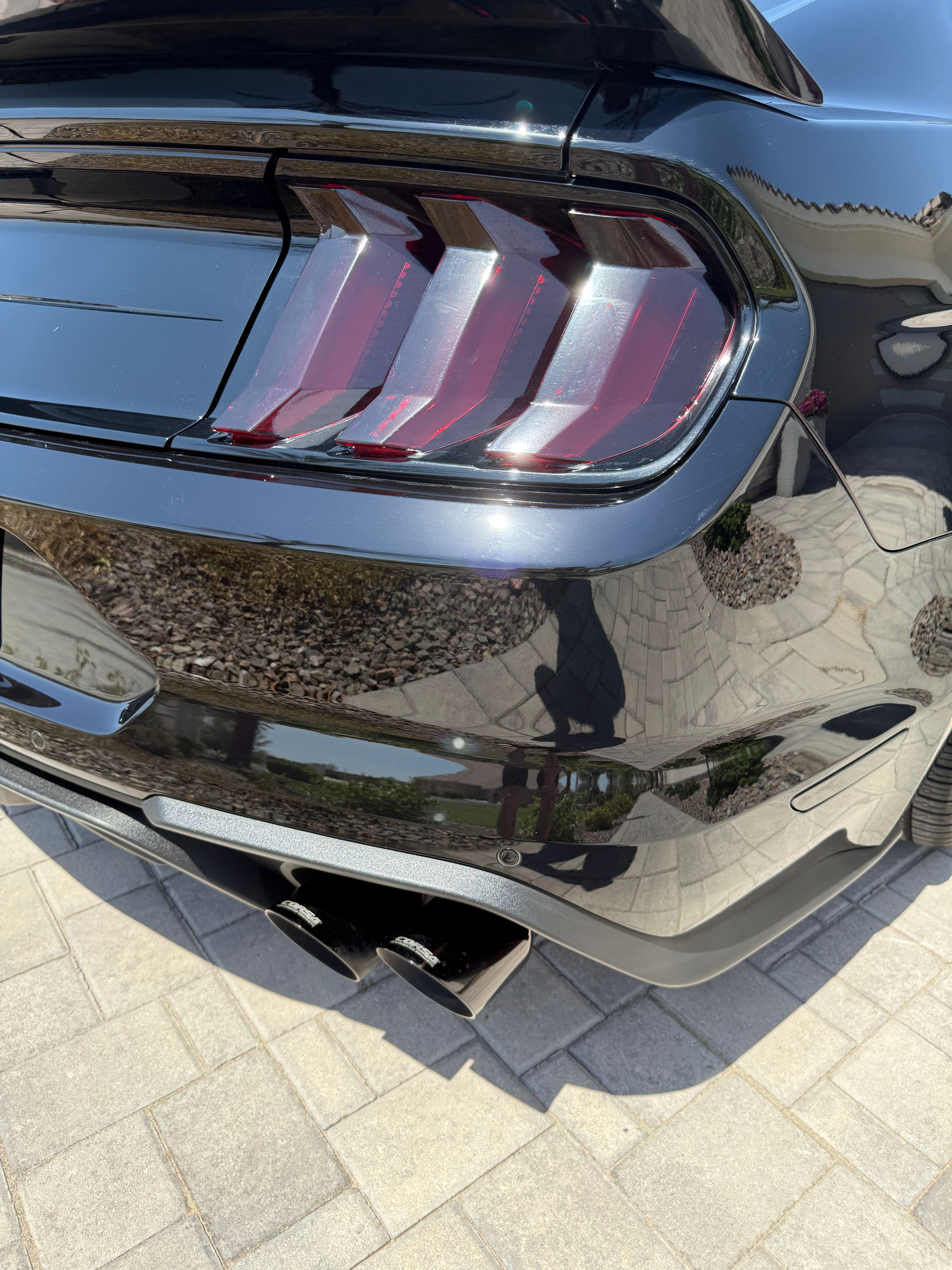 Used 2019 Ford Mustang GT Premium w/ Equipment Group 401A RWD image 5