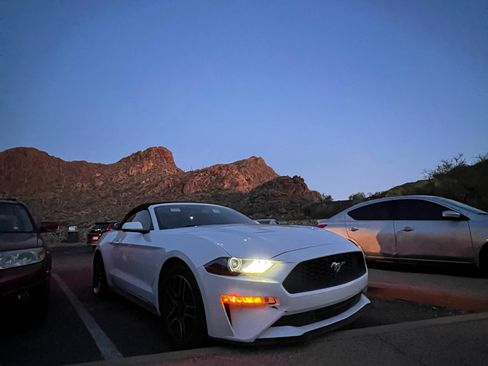 Used 2020 Ford Mustang Premium RWD image 1